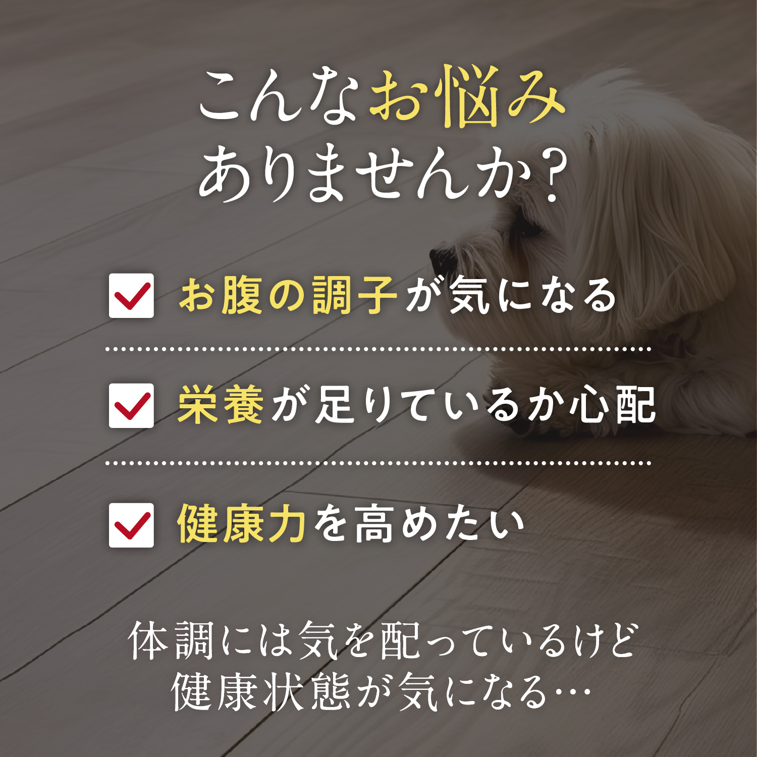 犬用プロバイオティック（消化器ケア）