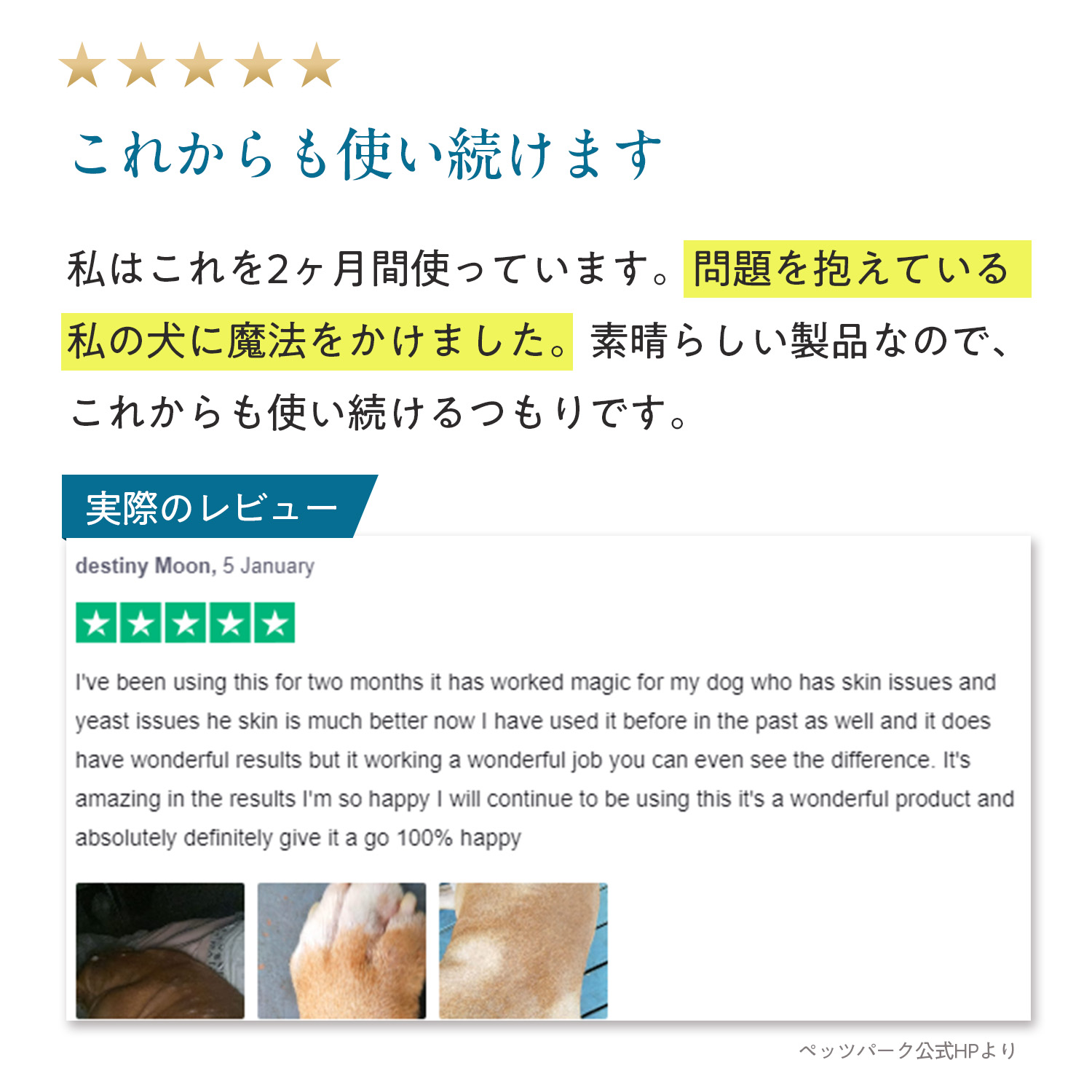 犬用スキン+コート（皮膚・被毛ケア）