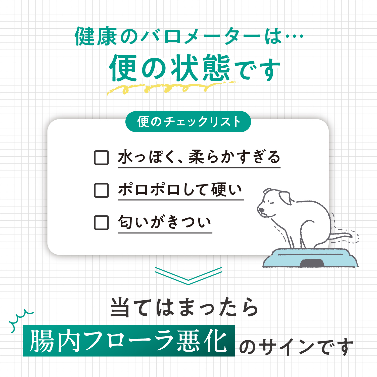 犬用プロバイオティック（消化器ケア）