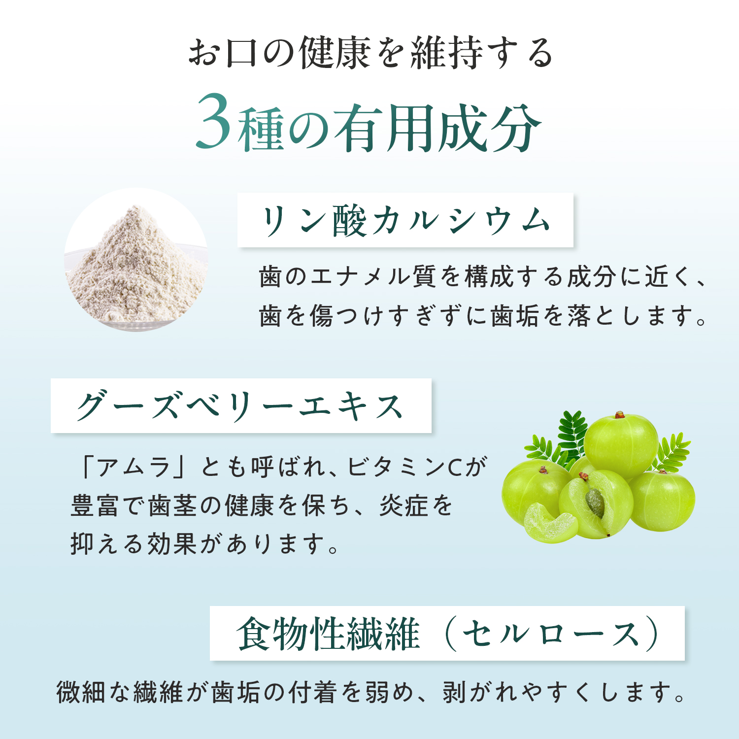 犬用トゥースペースト
