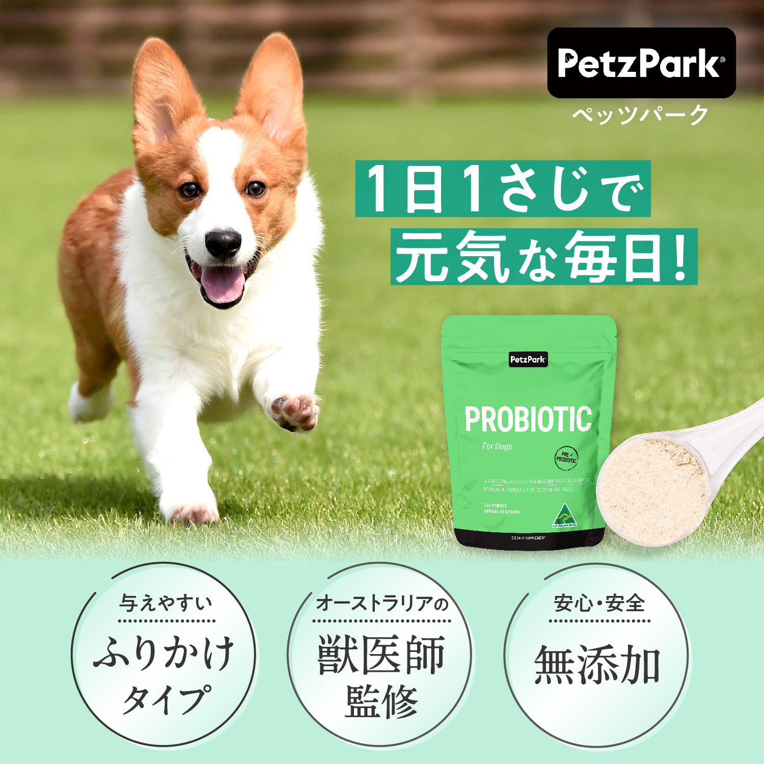 犬用プロバイオティック（消化器ケア）