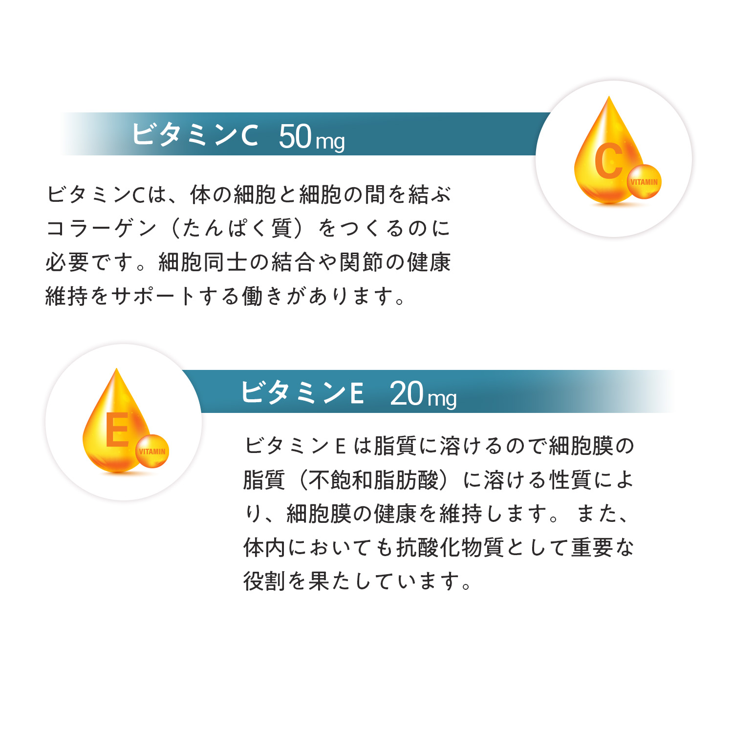犬用スキン+コート（皮膚・被毛ケア）