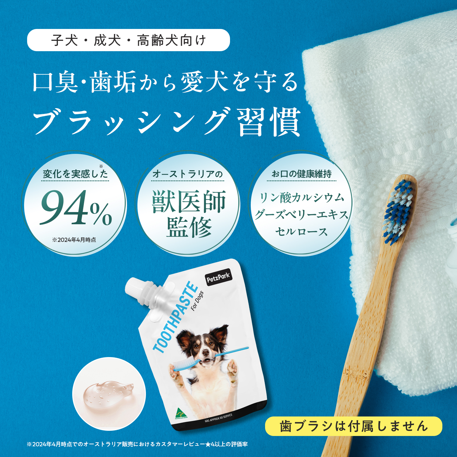 犬用トゥースペースト