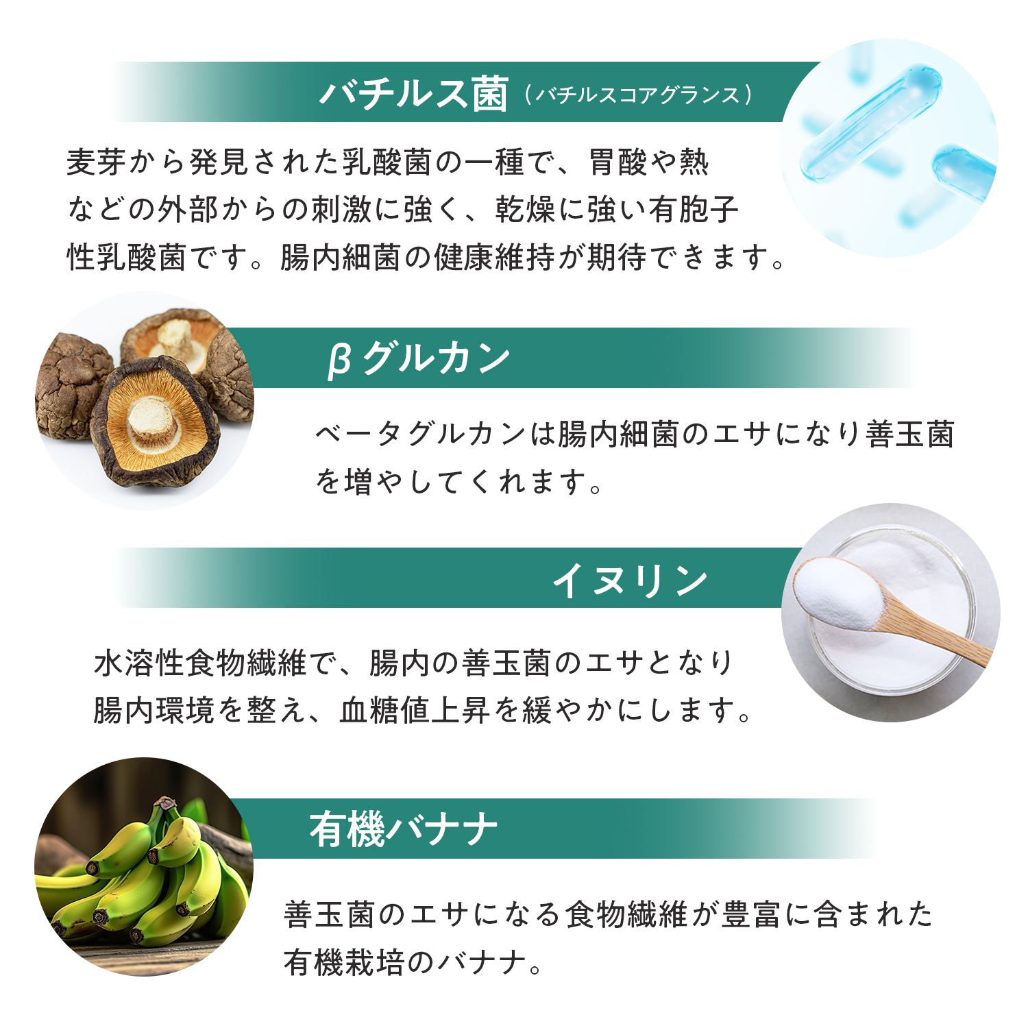 犬用プロバイオティック（消化器ケア）