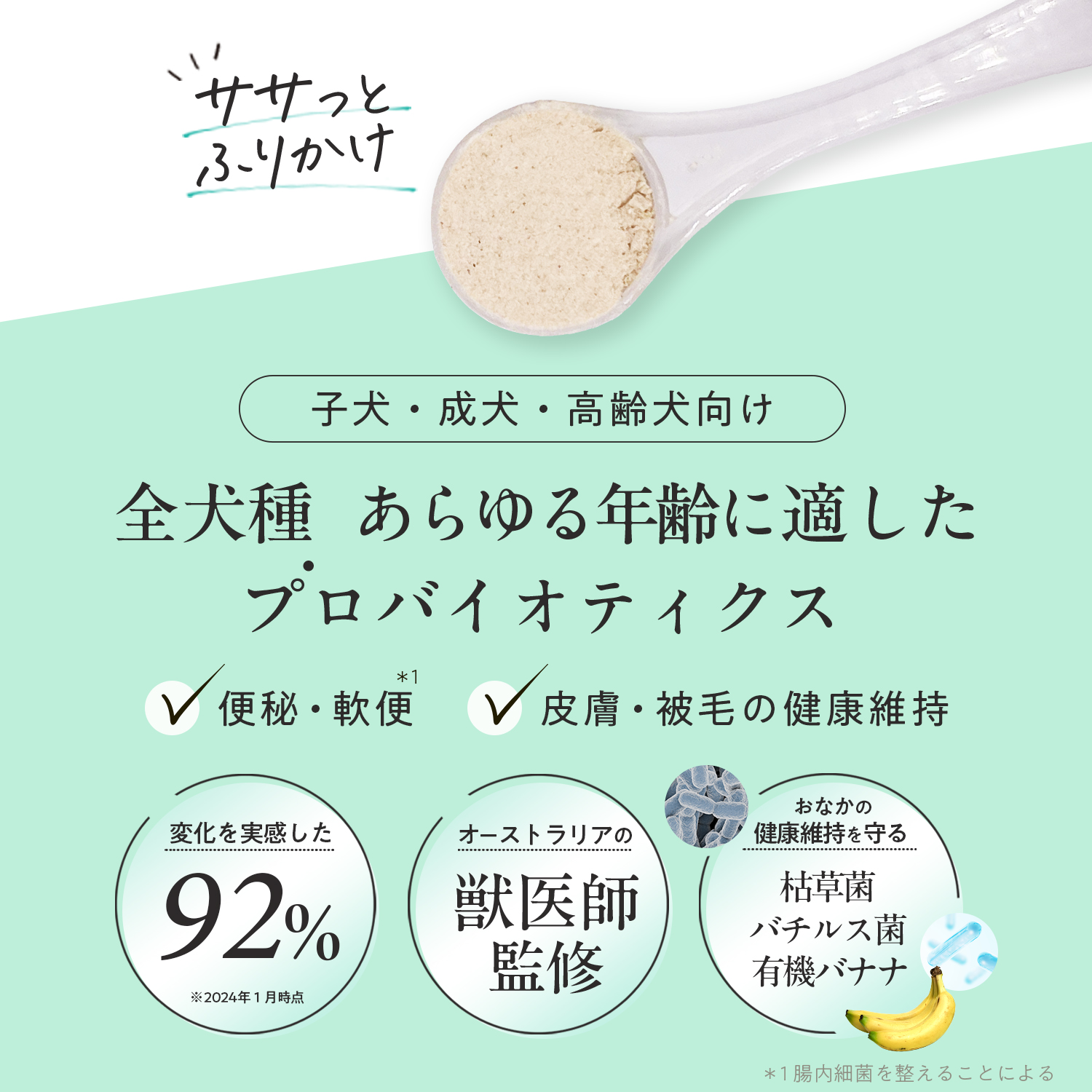 犬用プロバイオティック（消化器ケア）