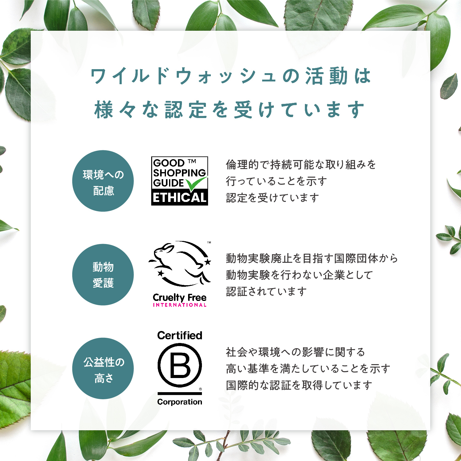 肉球保護クリーム 50ml