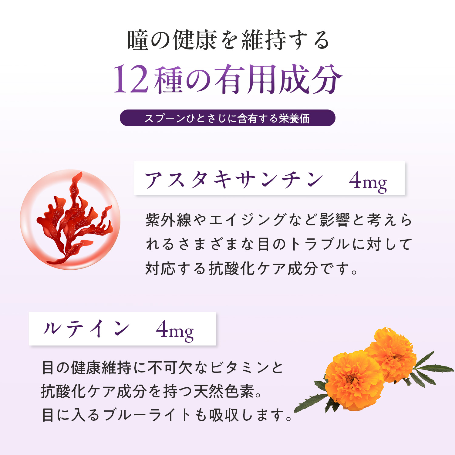 犬用アイサポート