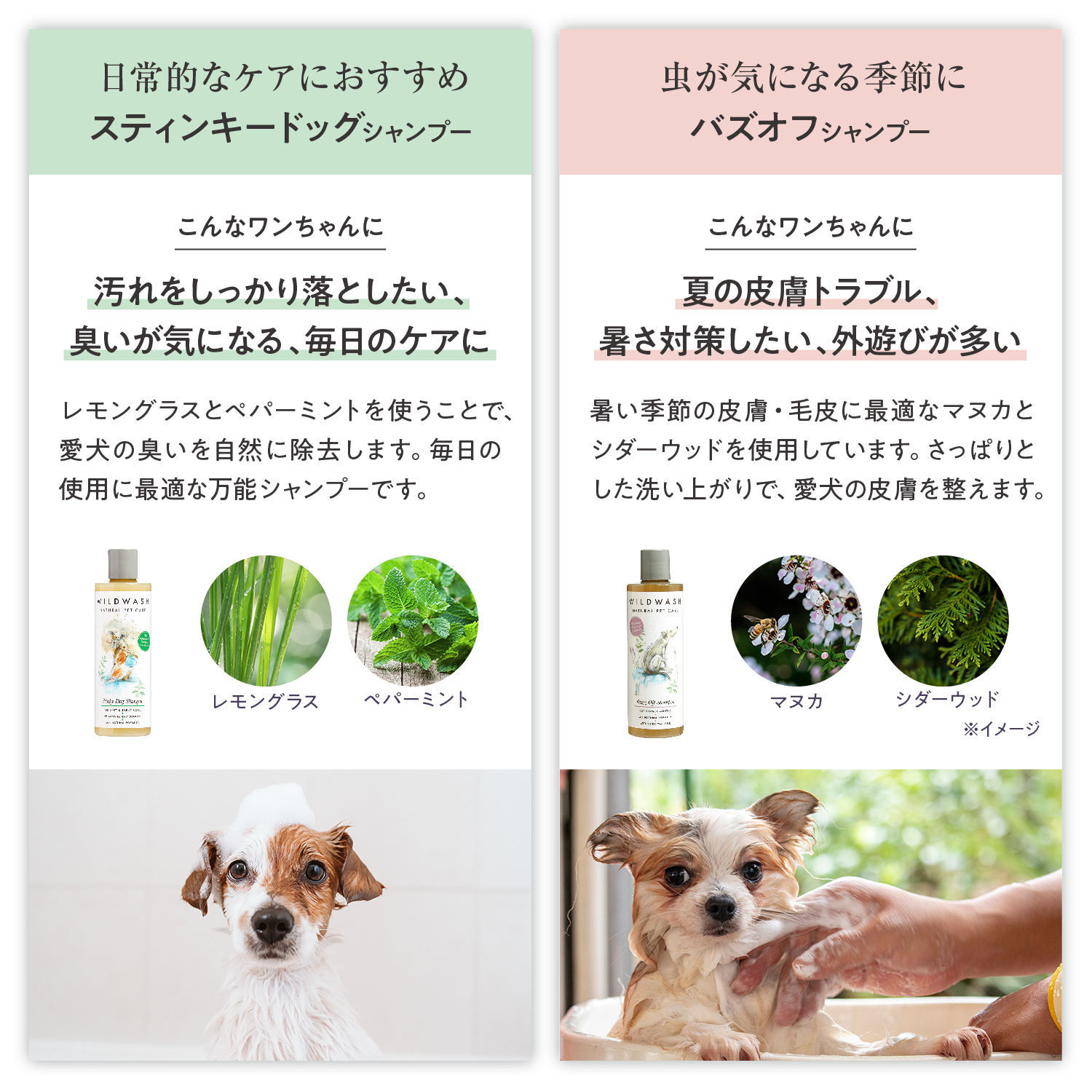 オーガニックシャンプー シャンプーの種類: 子犬用 ラベンダー＆パチョリ