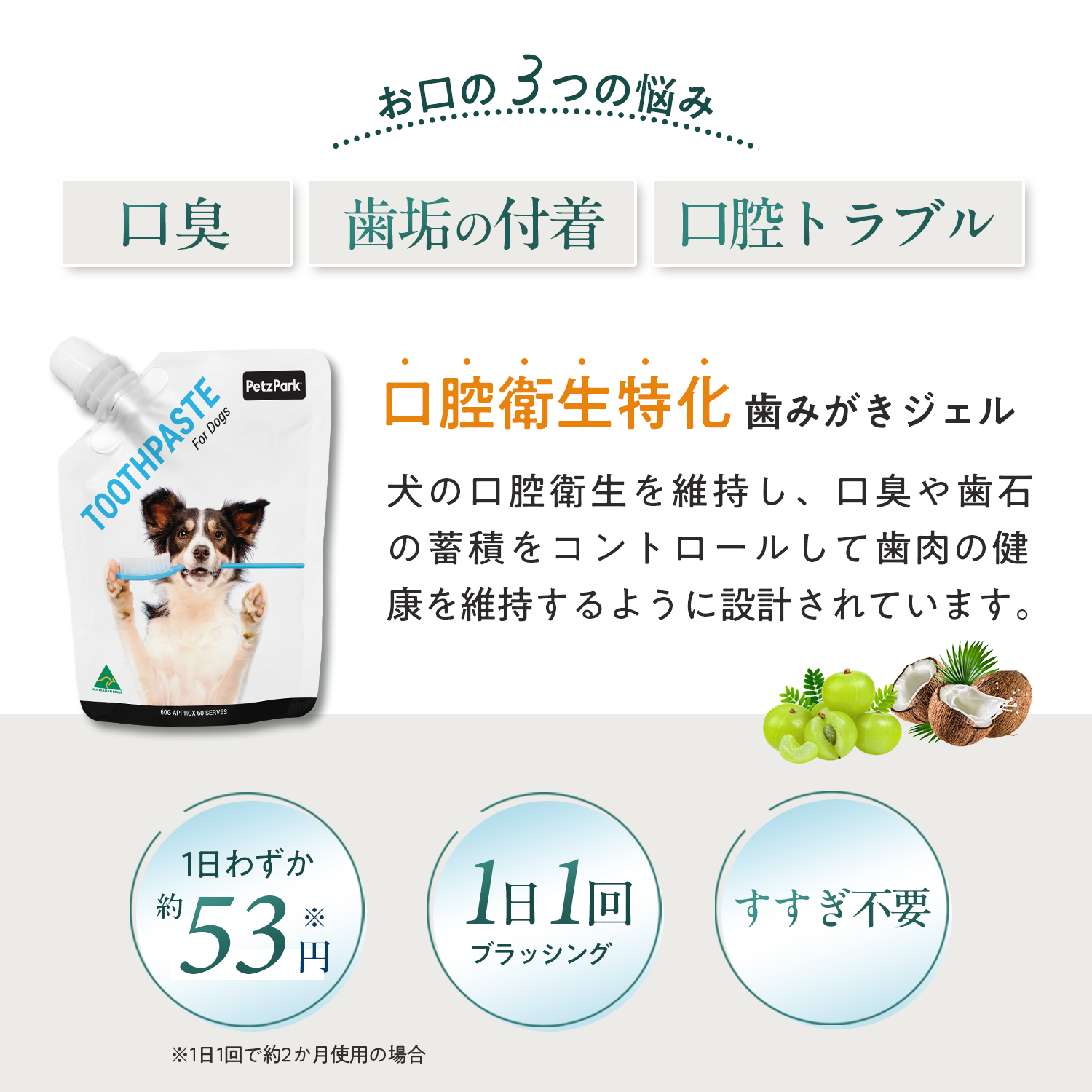 犬用トゥースペースト