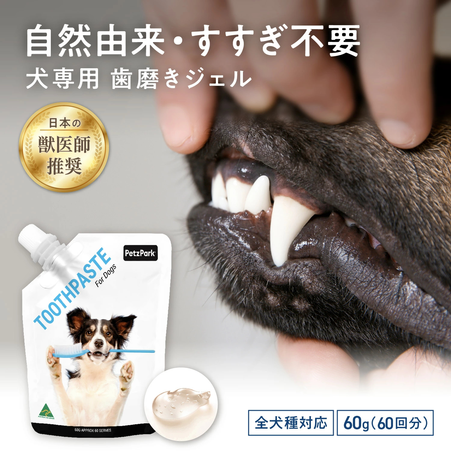 犬用トゥースペースト