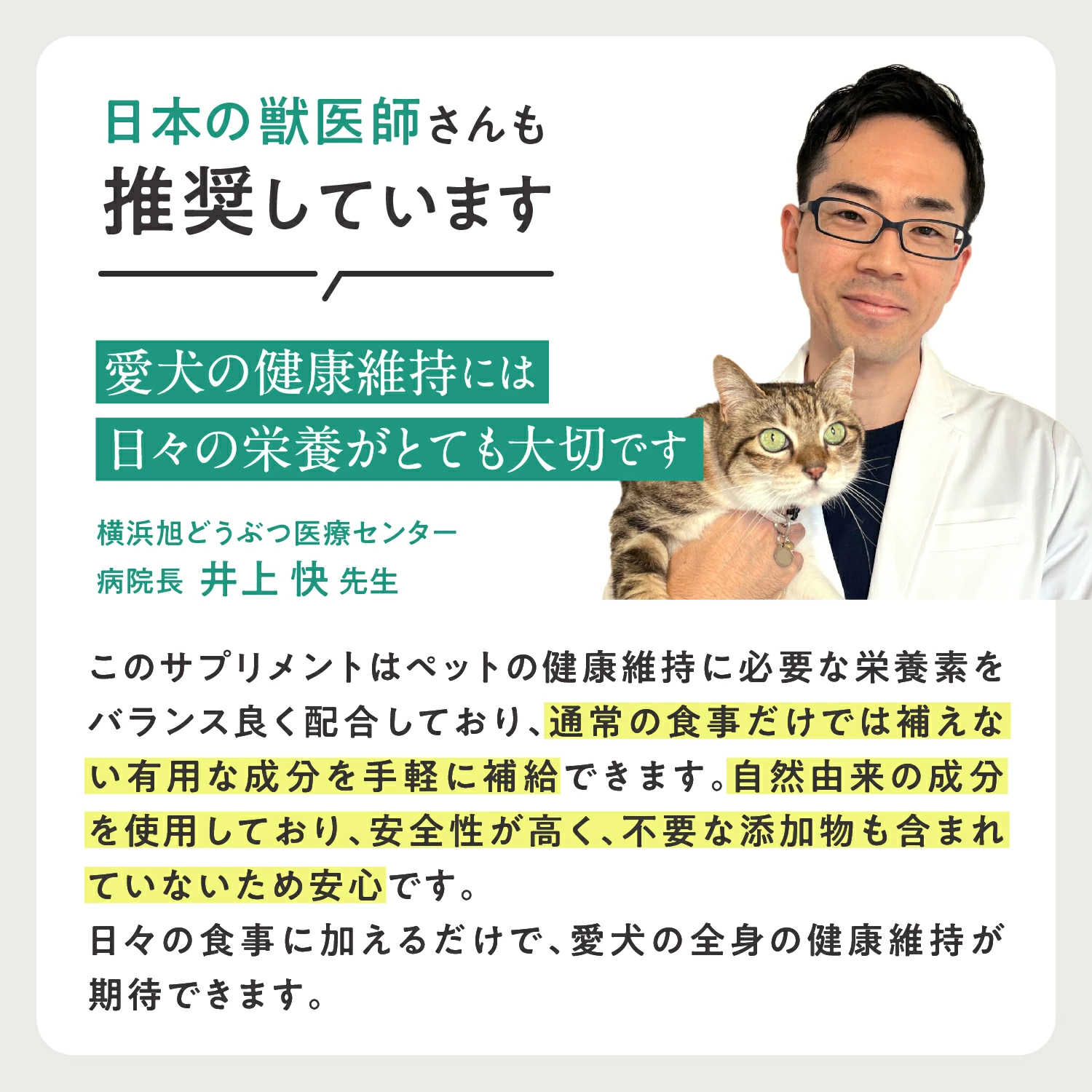 犬用デンタルケルプ