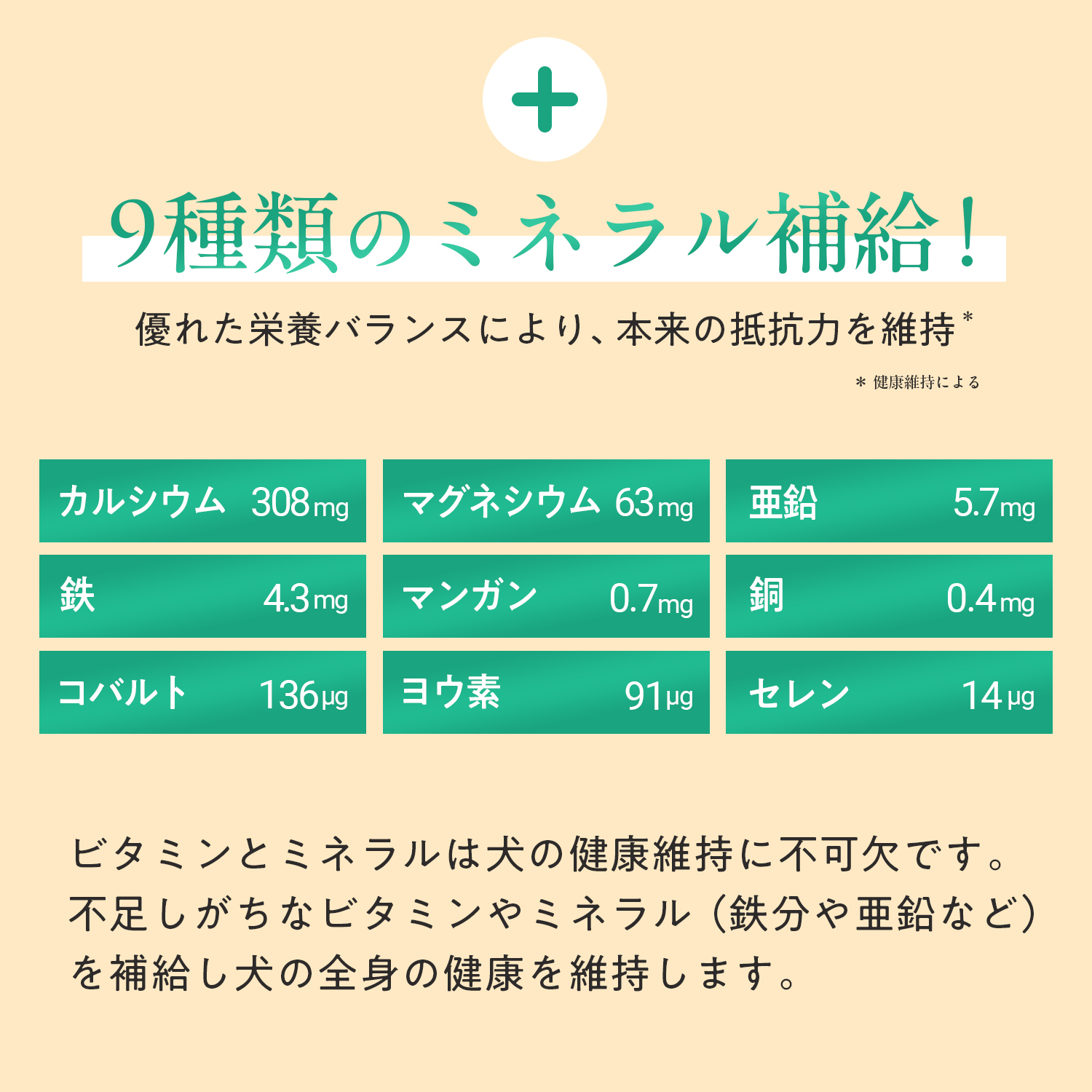 犬用マルチビタミン