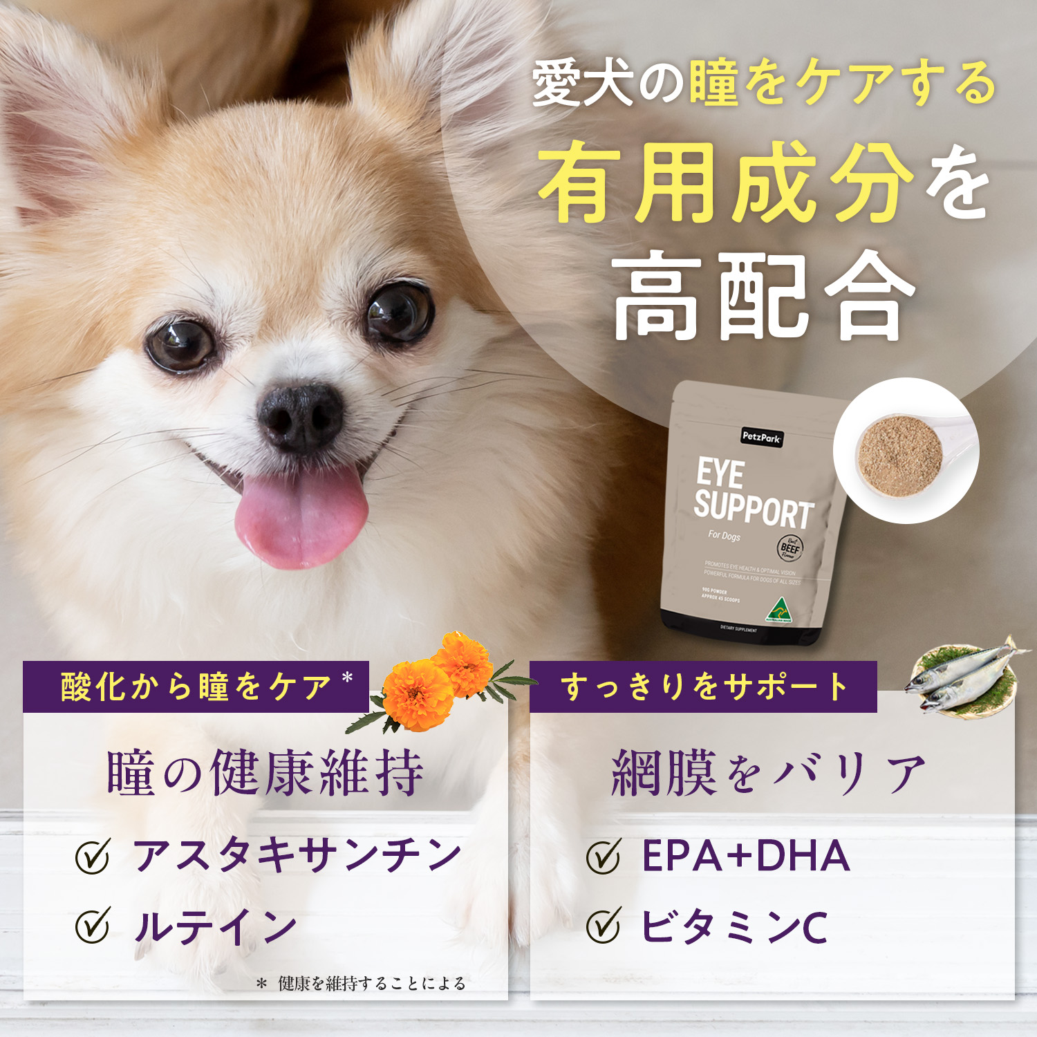 犬用アイサポート