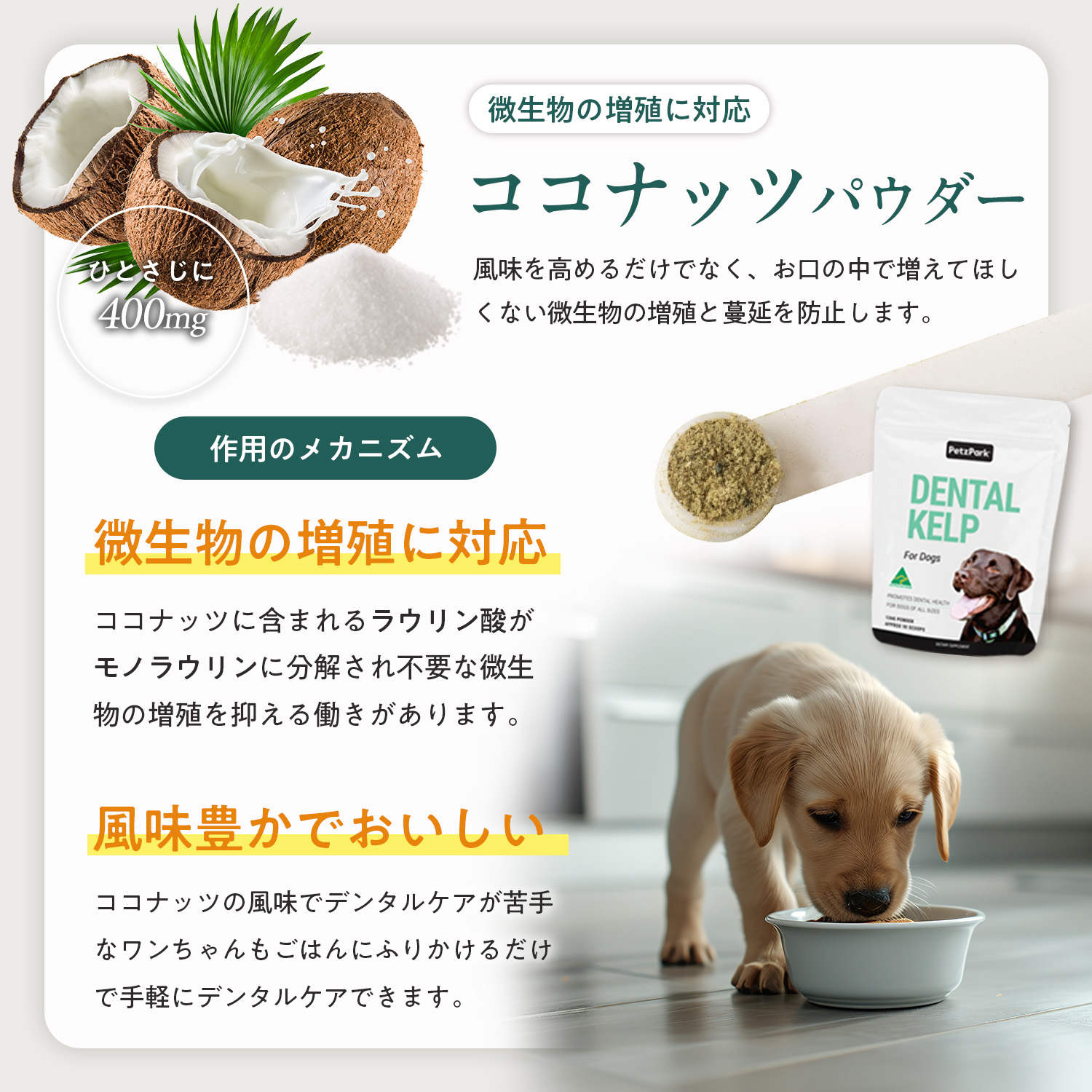 犬用デンタルケルプ