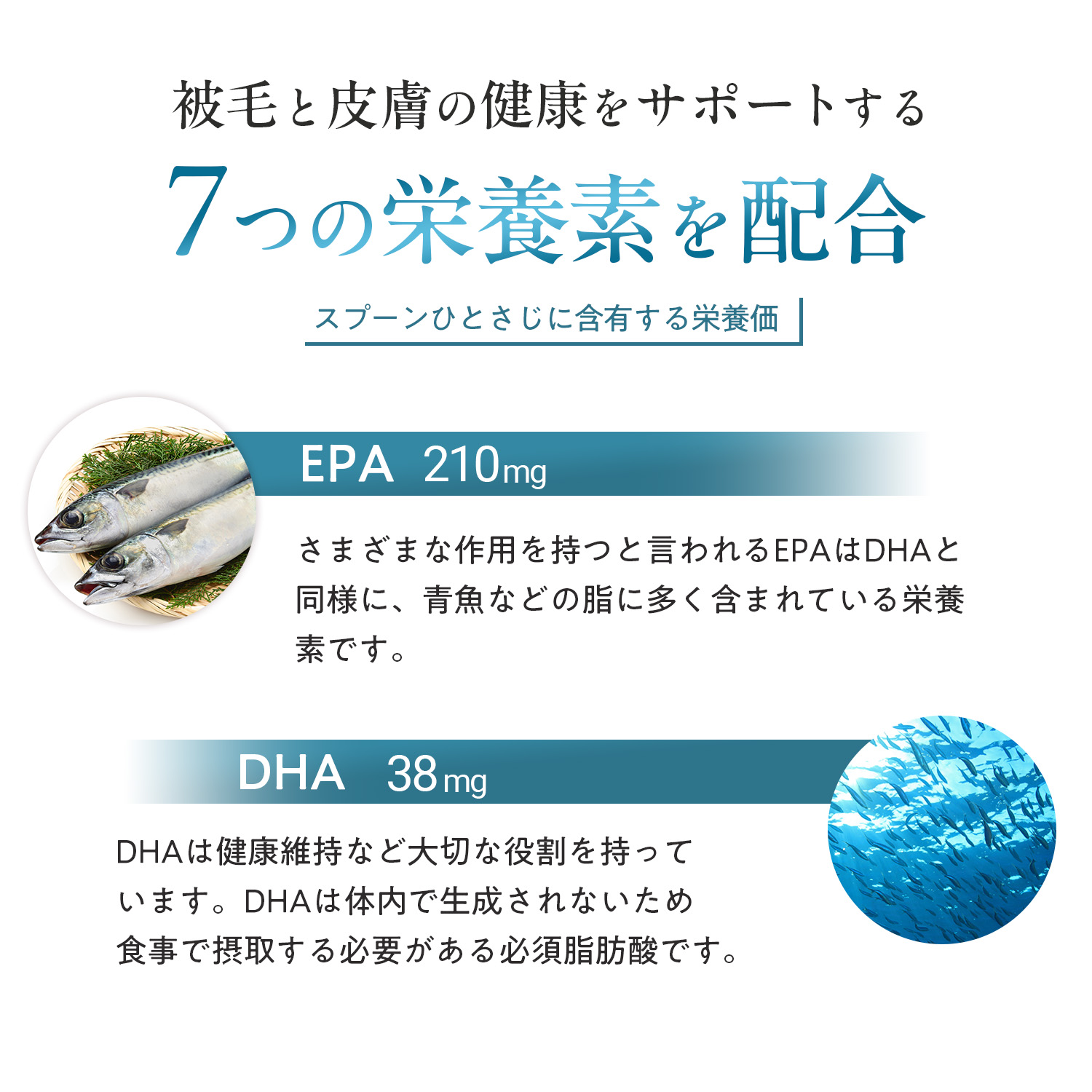 犬用スキン+コート（皮膚・被毛ケア）
