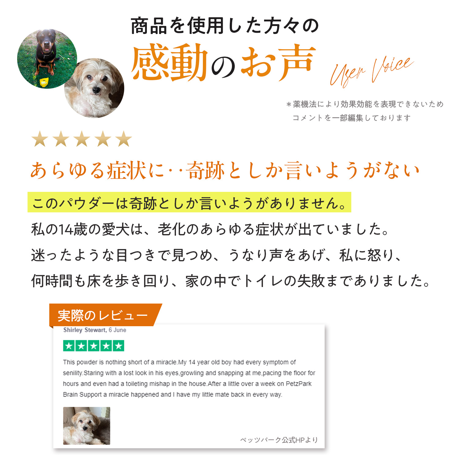 犬用ブレインサポート