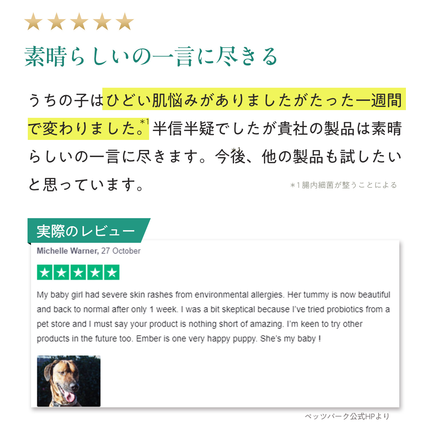 犬用プロバイオティック（消化器ケア）