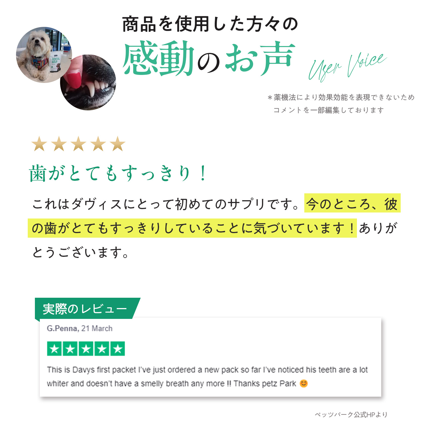 犬用デンタルケルプ