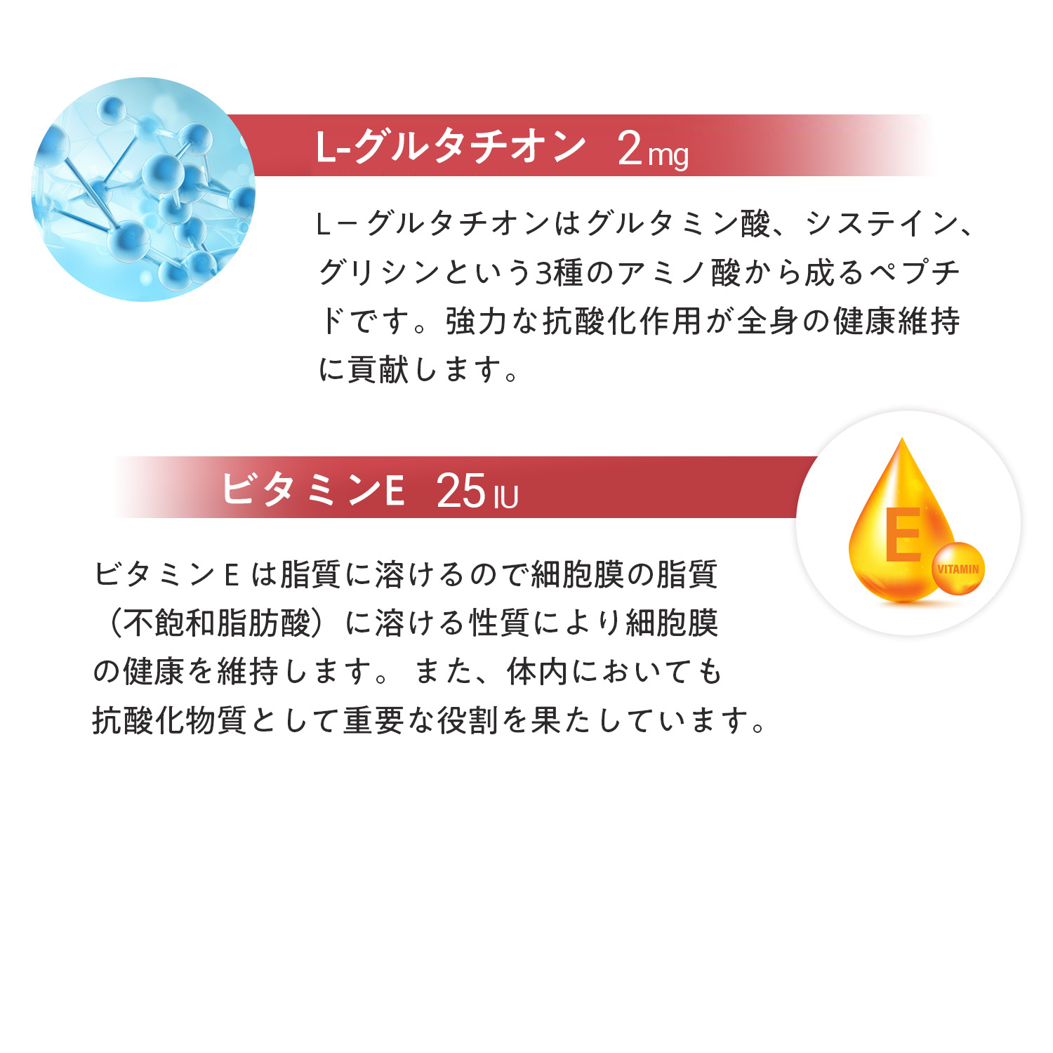 犬用ヒップ+ジョイント（関節ケア）