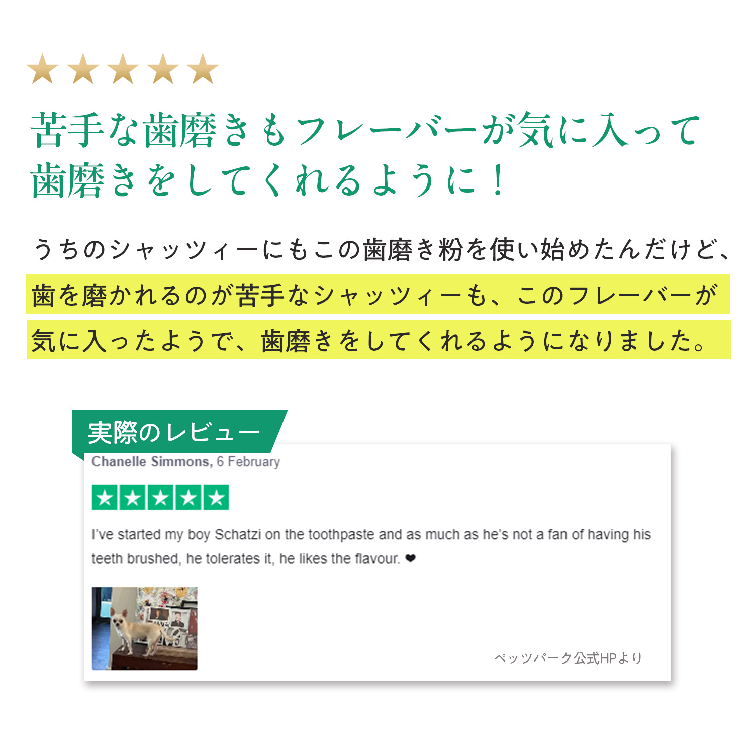 犬用トゥースペースト