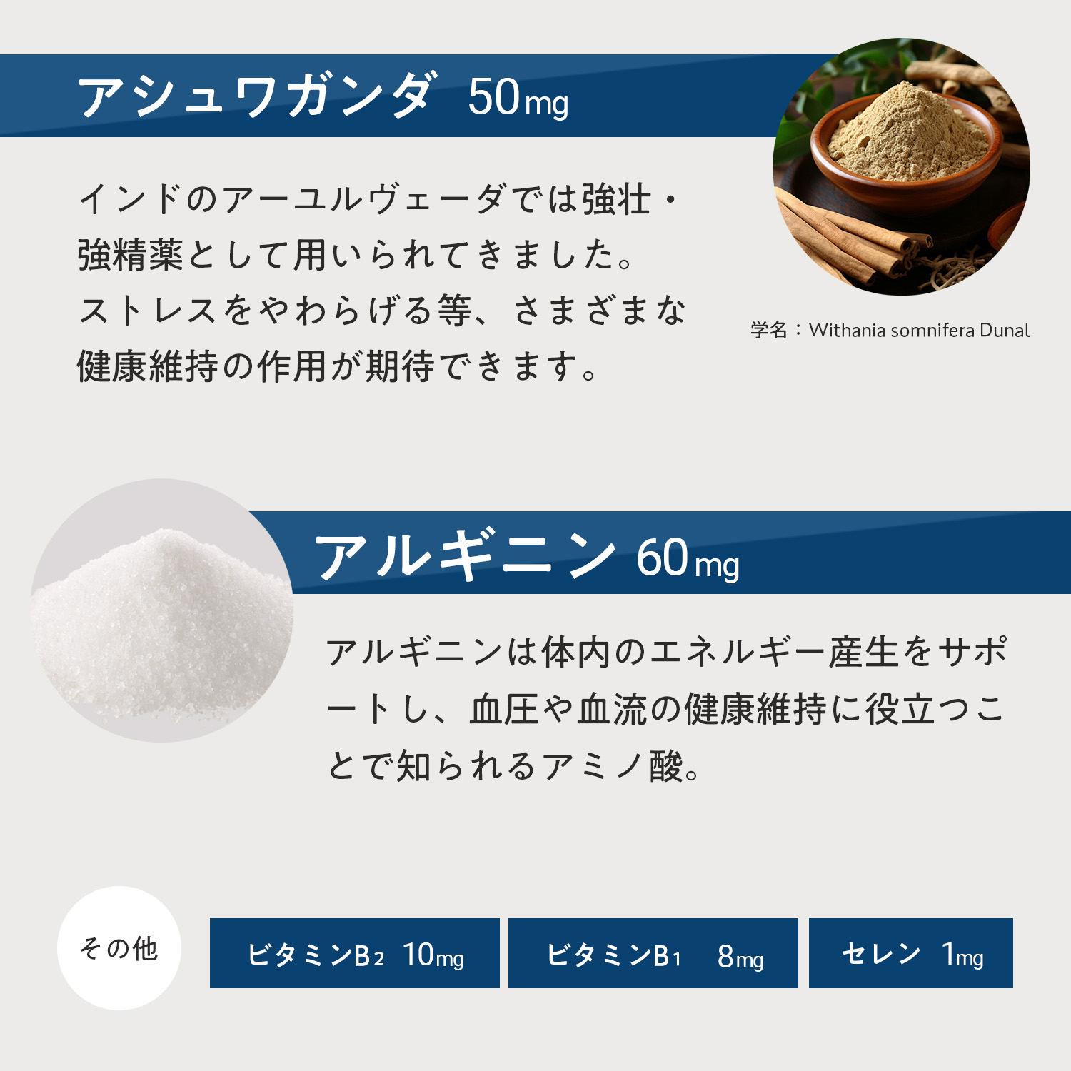 犬用ブレインサポート