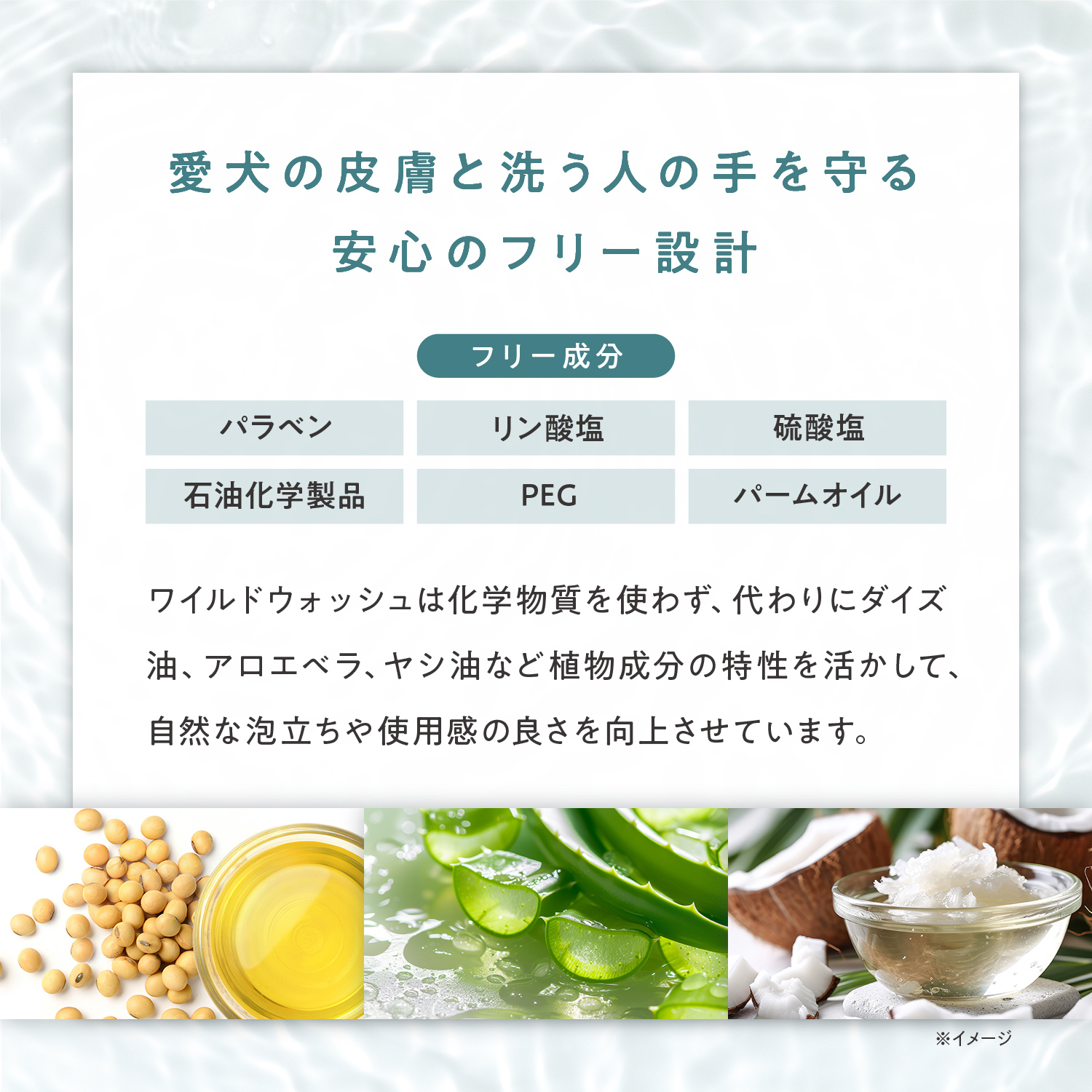 オーガニックシャンプー シャンプーの種類: 子犬用 ラベンダー＆パチョリ