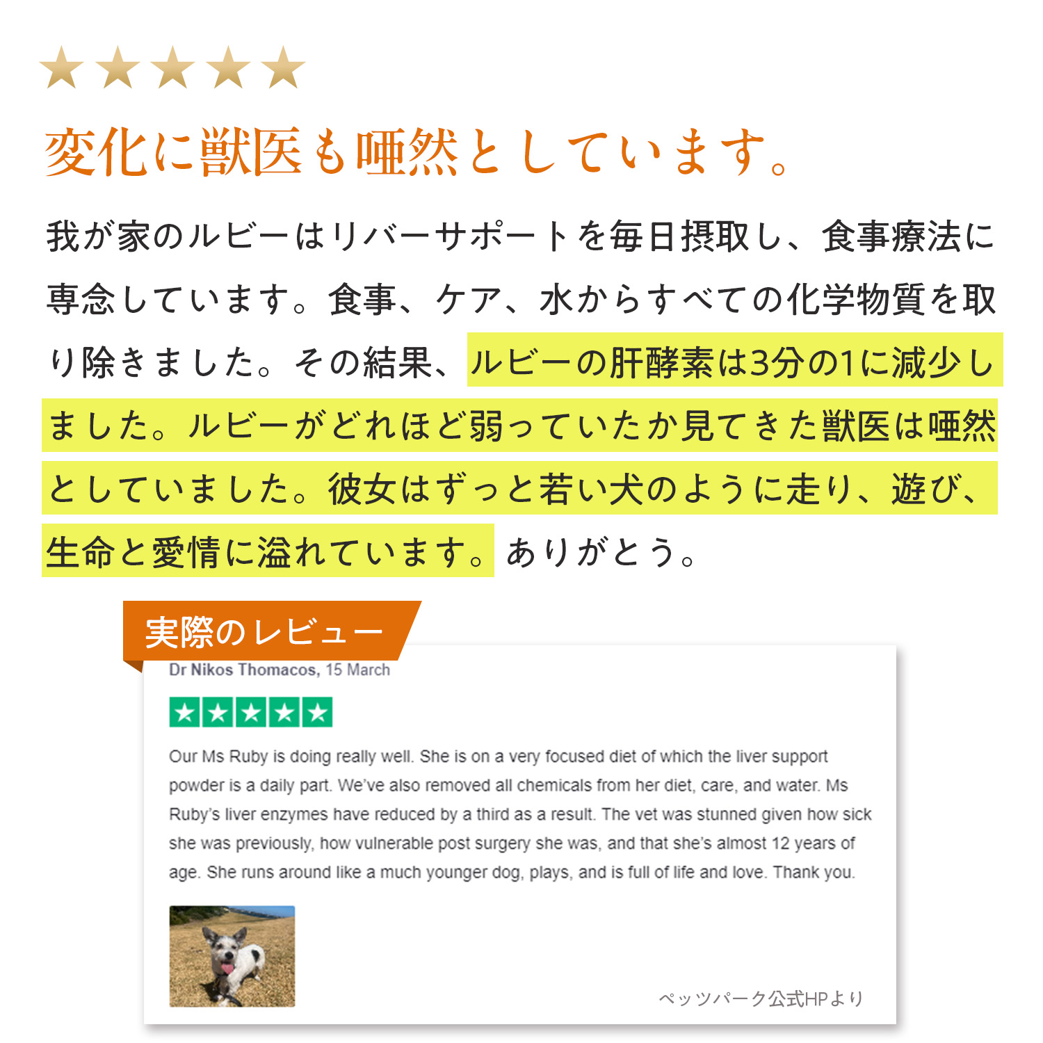 犬用リバーサポート（肝臓ケア）