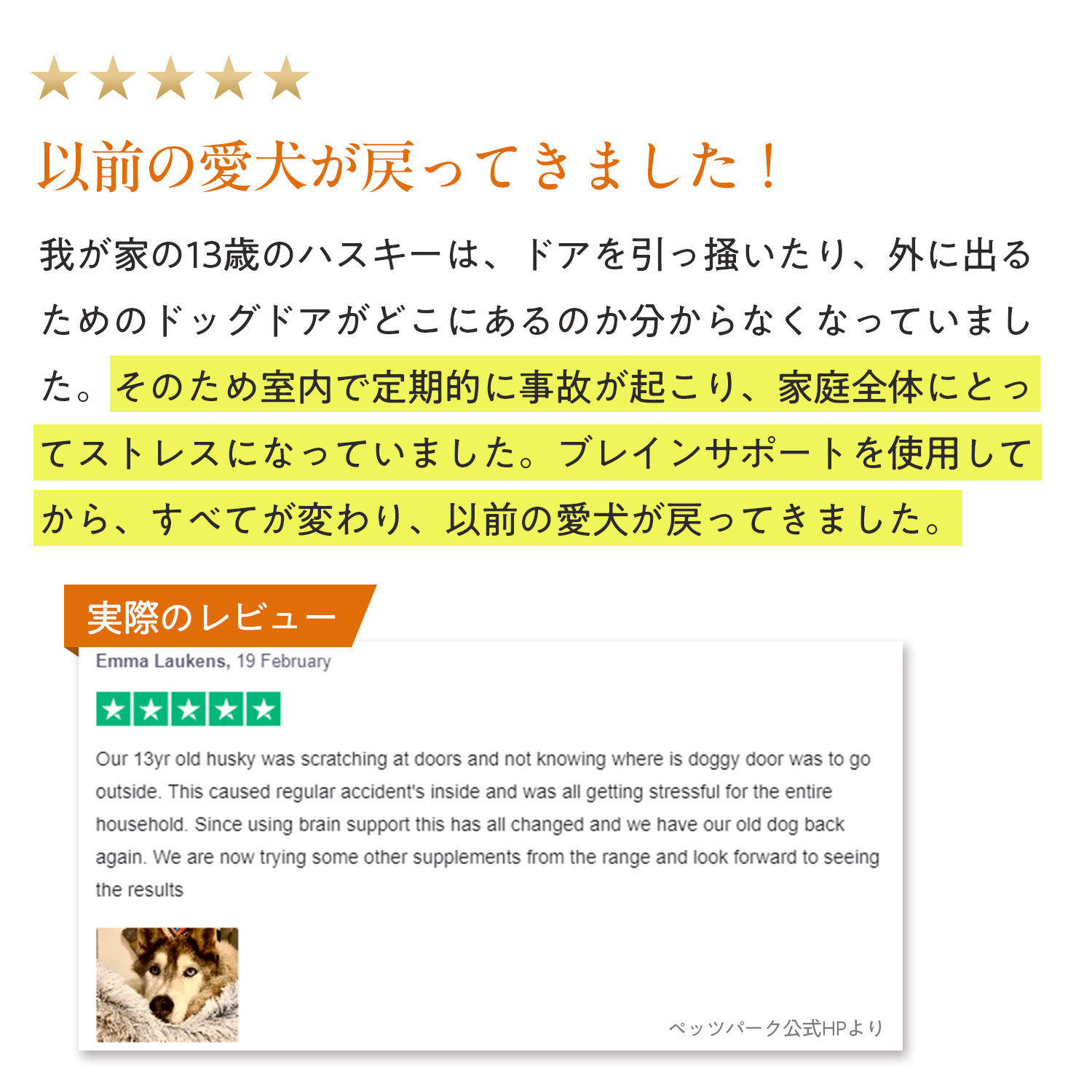 犬用ブレインサポート