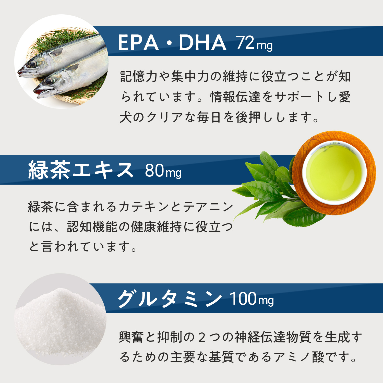 犬用ブレインサポート