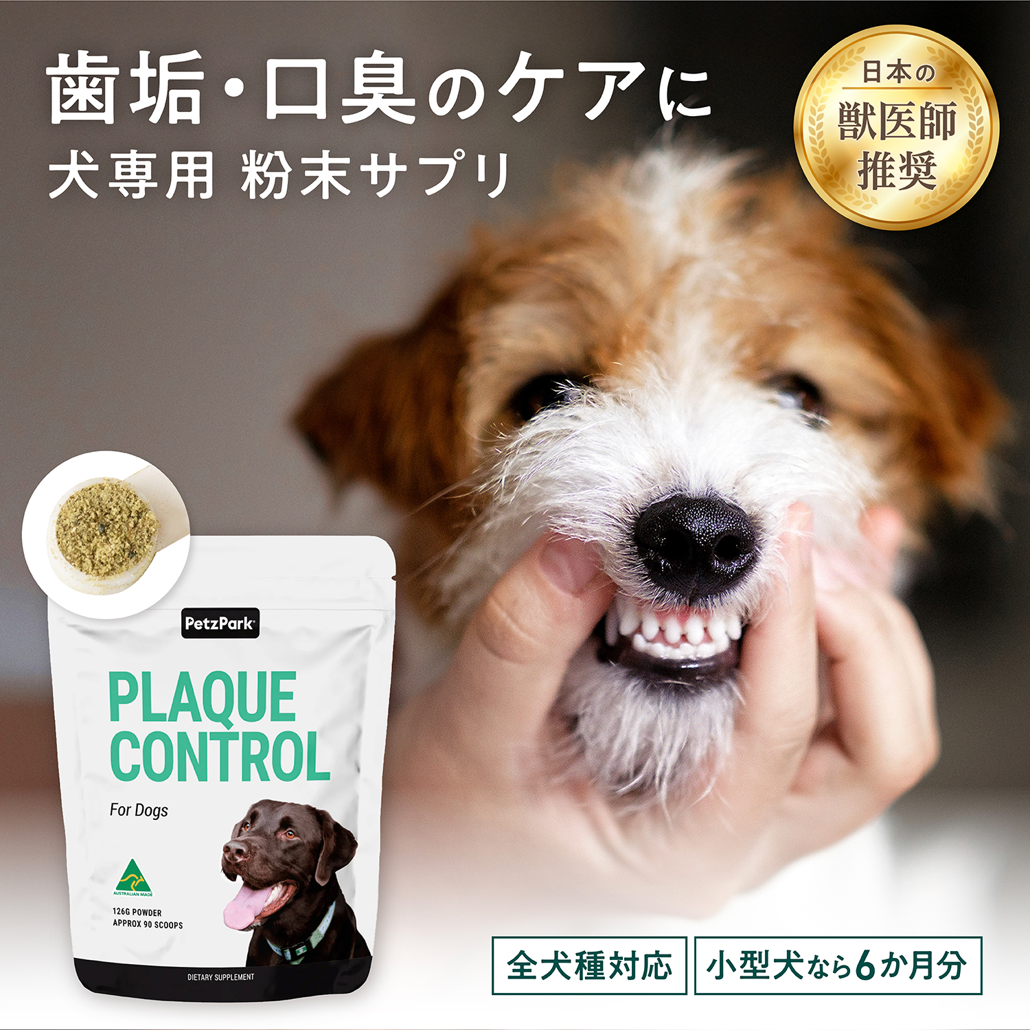 犬用デンタルケルプ