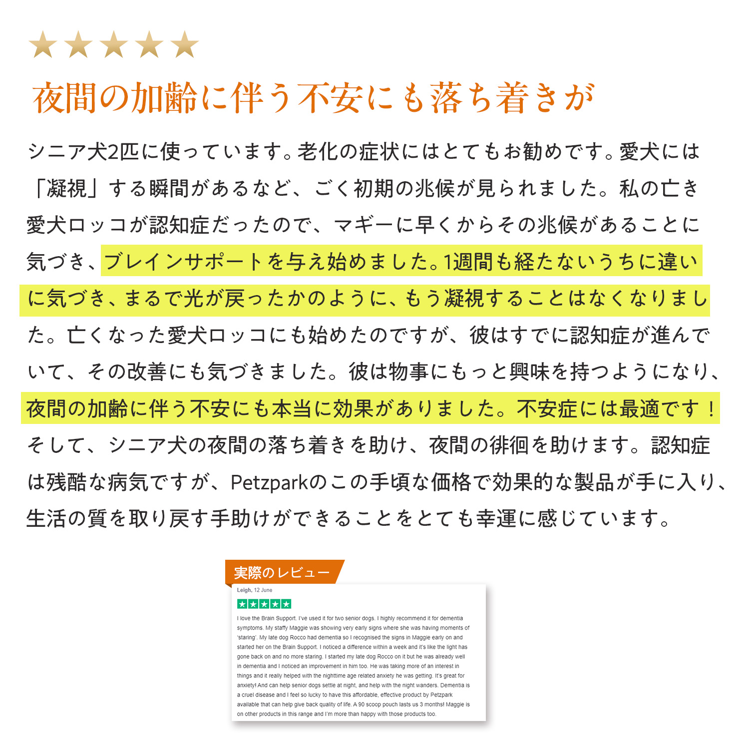 犬用ブレインサポート