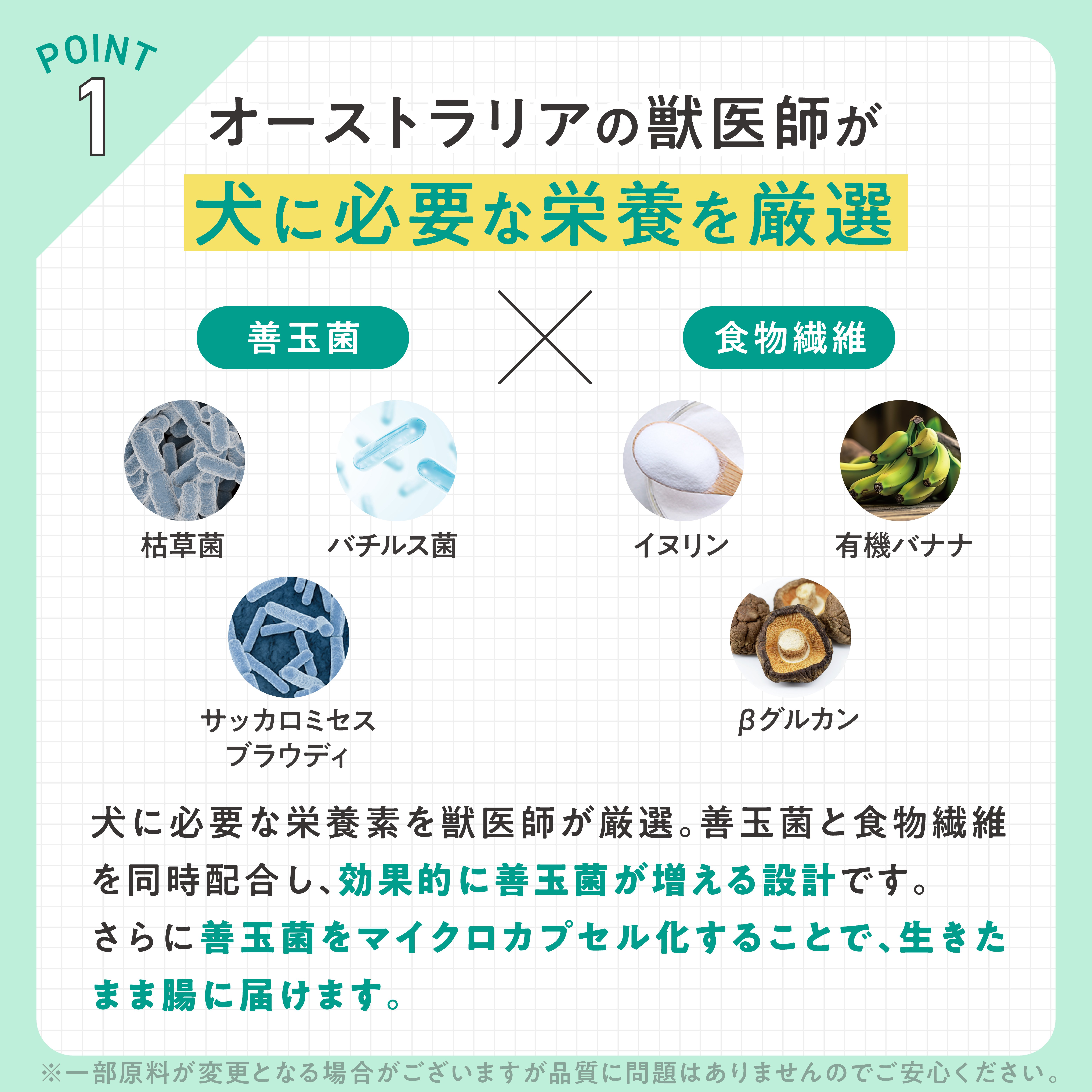 犬用プロバイオティック（消化器ケア）