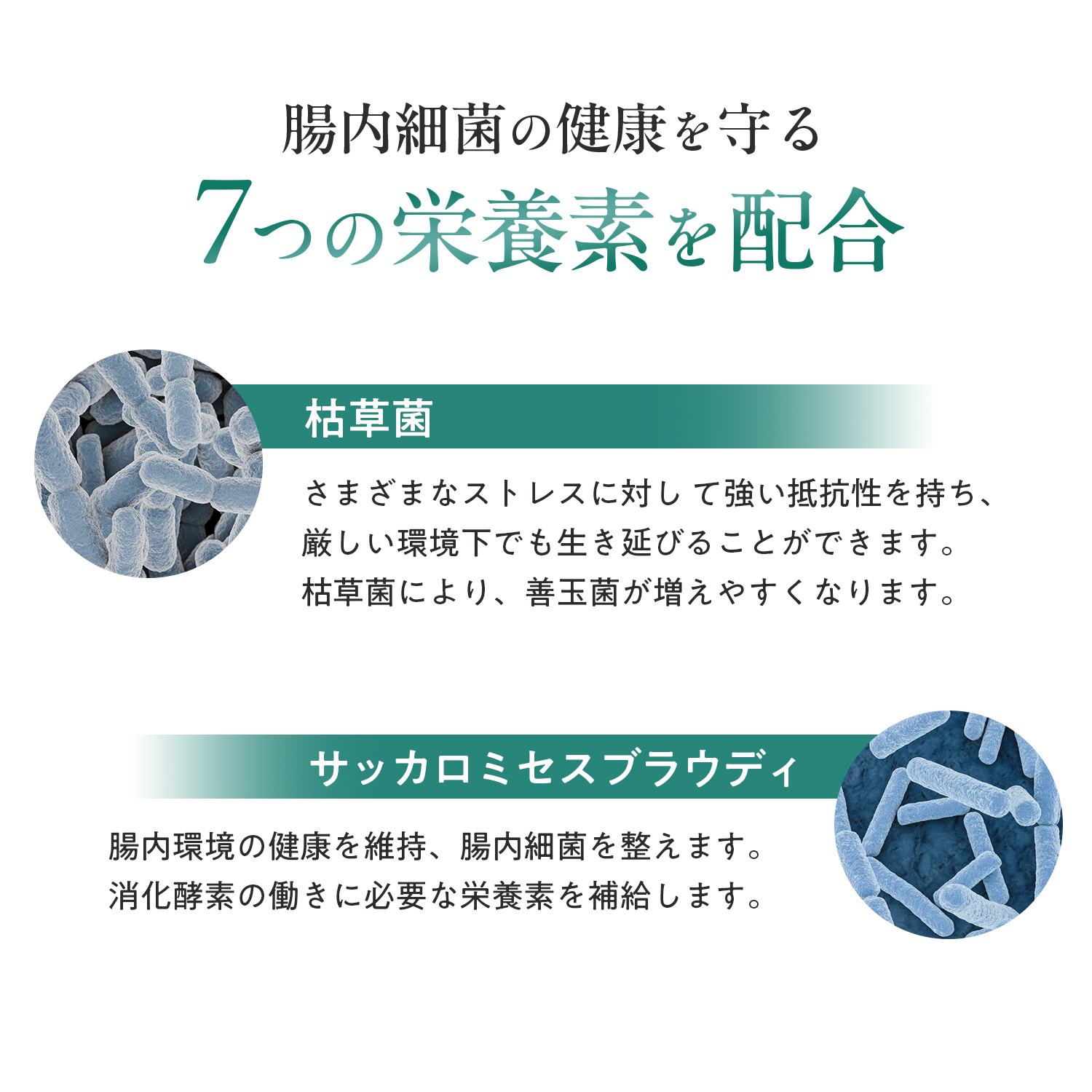 犬用プロバイオティック（消化器ケア）