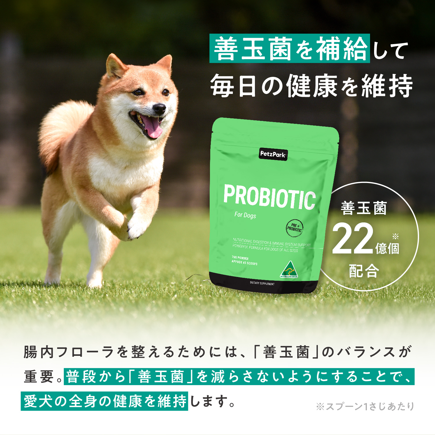 犬用プロバイオティック（消化器ケア）