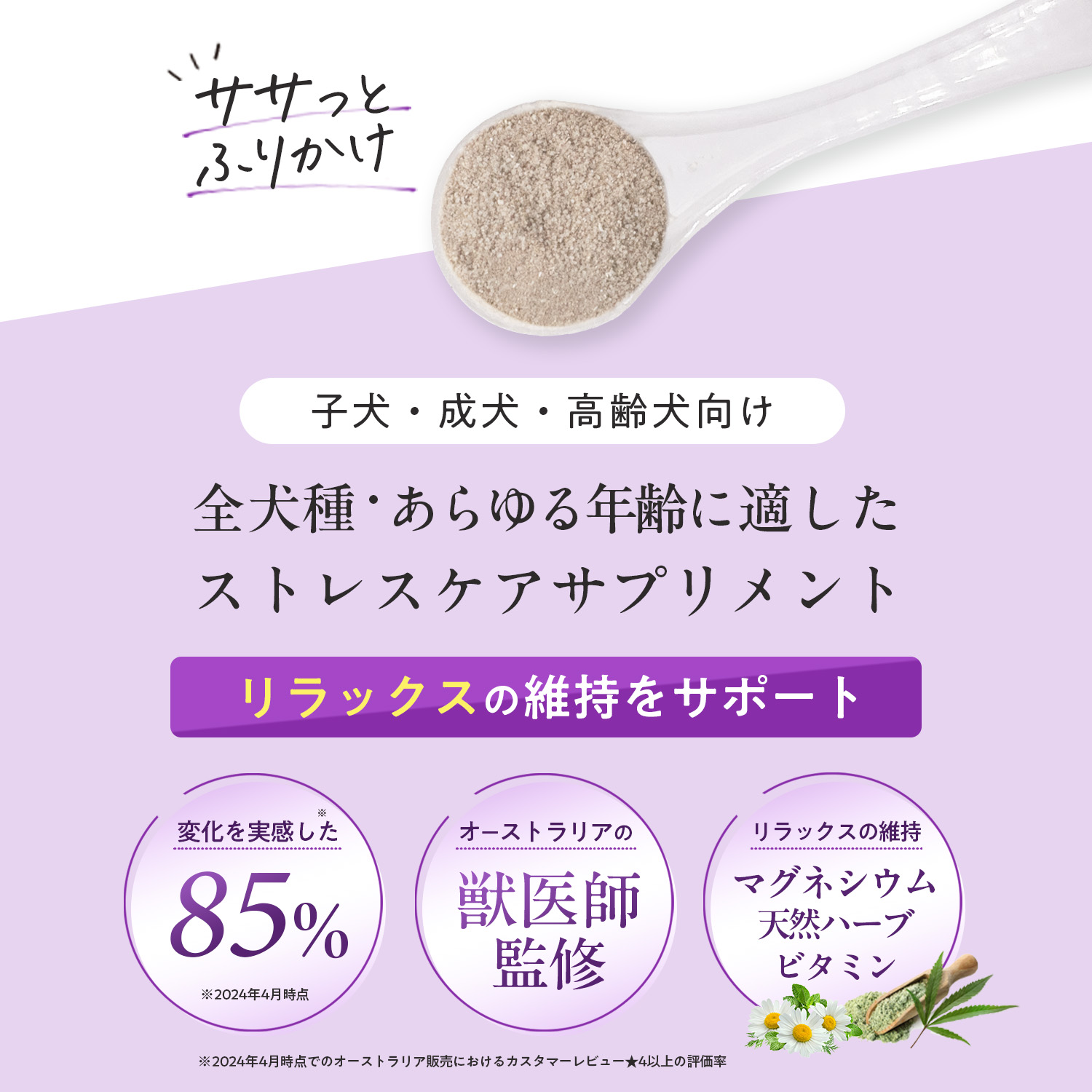 犬用ストレス+アングザイエティ