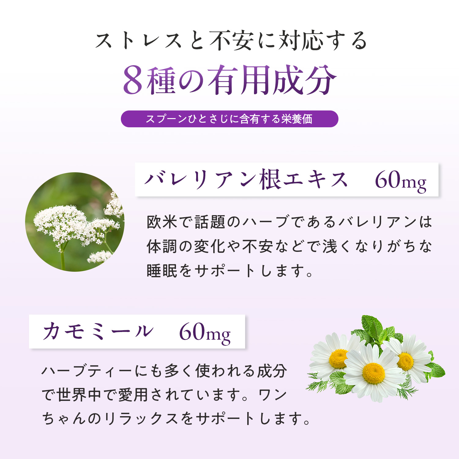 犬用ストレス+アングザイエティ