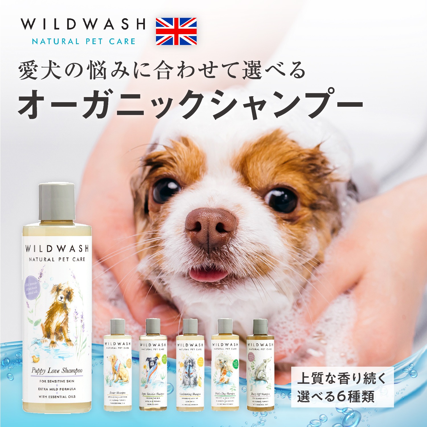 オーガニックシャンプー シャンプーの種類: 子犬用 ラベンダー＆パチョリ