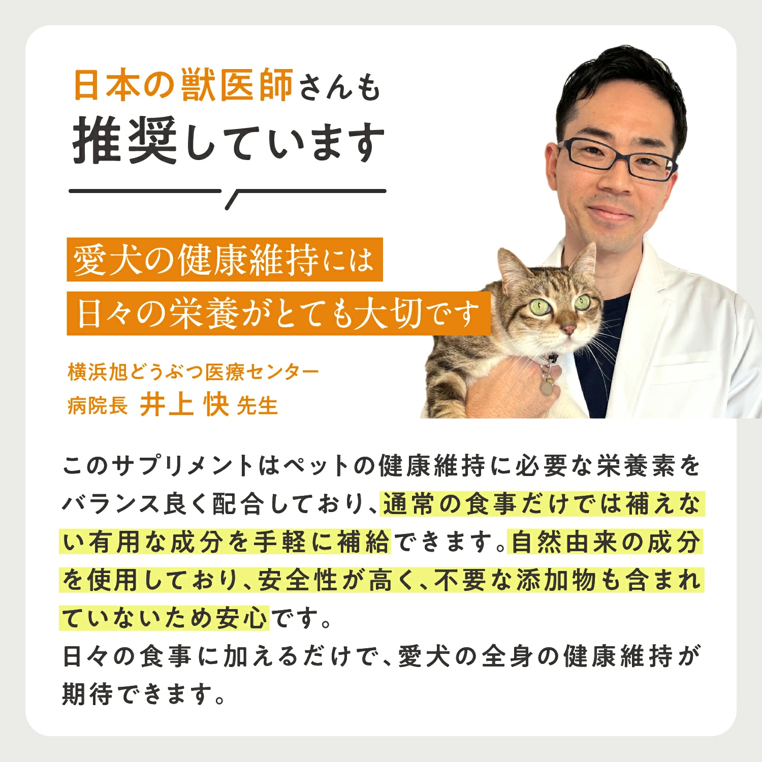 犬用ブレインサポート