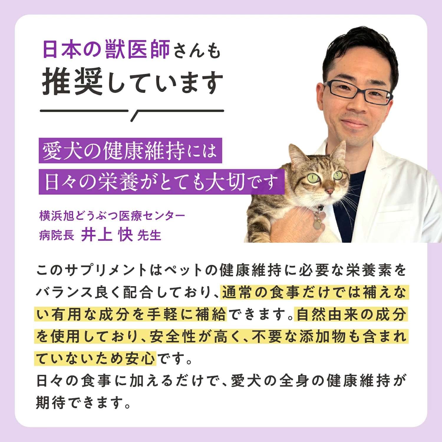 犬用ストレス+アングザイエティ