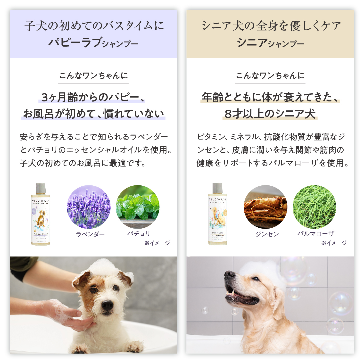 オーガニックシャンプー シャンプーの種類: 子犬用 ラベンダー＆パチョリ