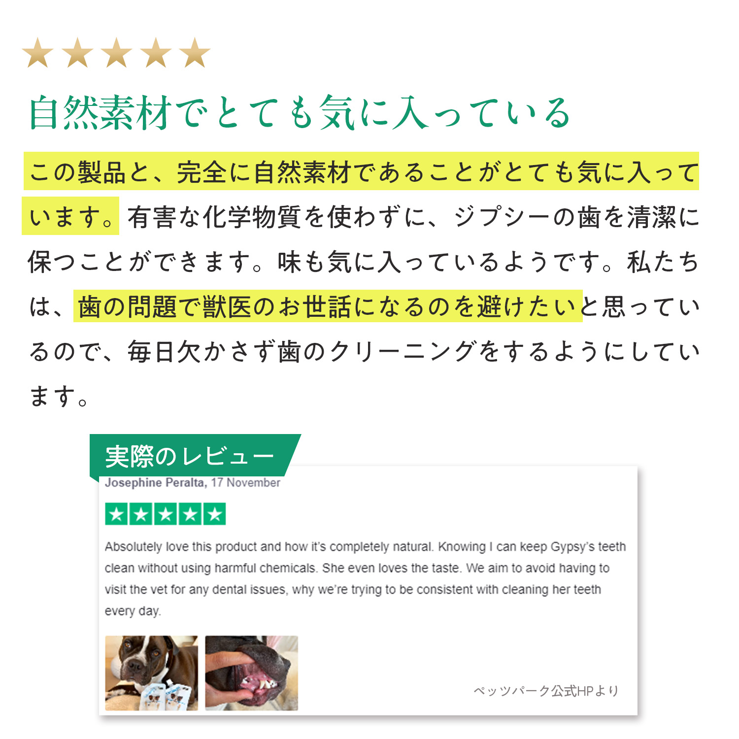 犬用トゥースペースト