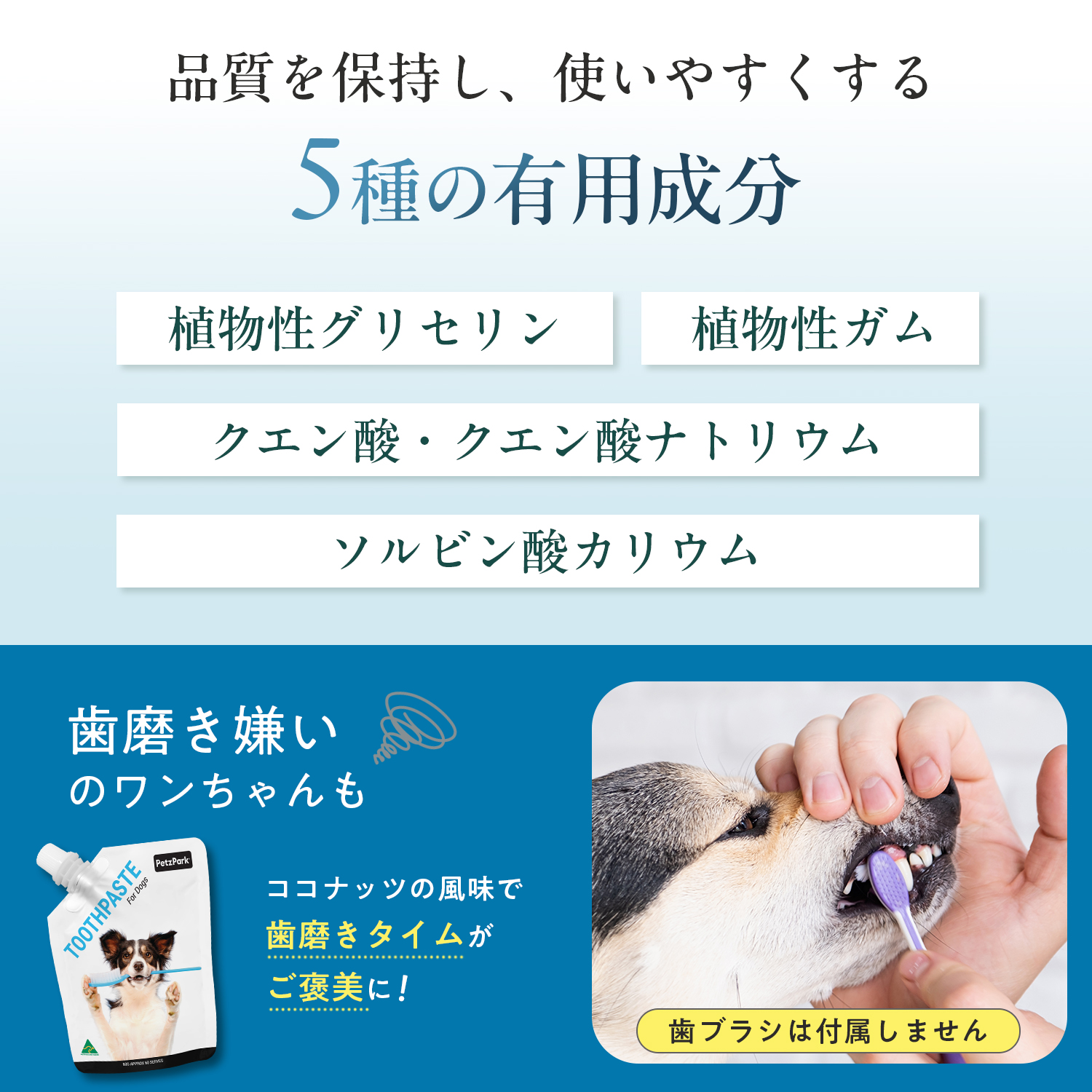 犬用トゥースペースト