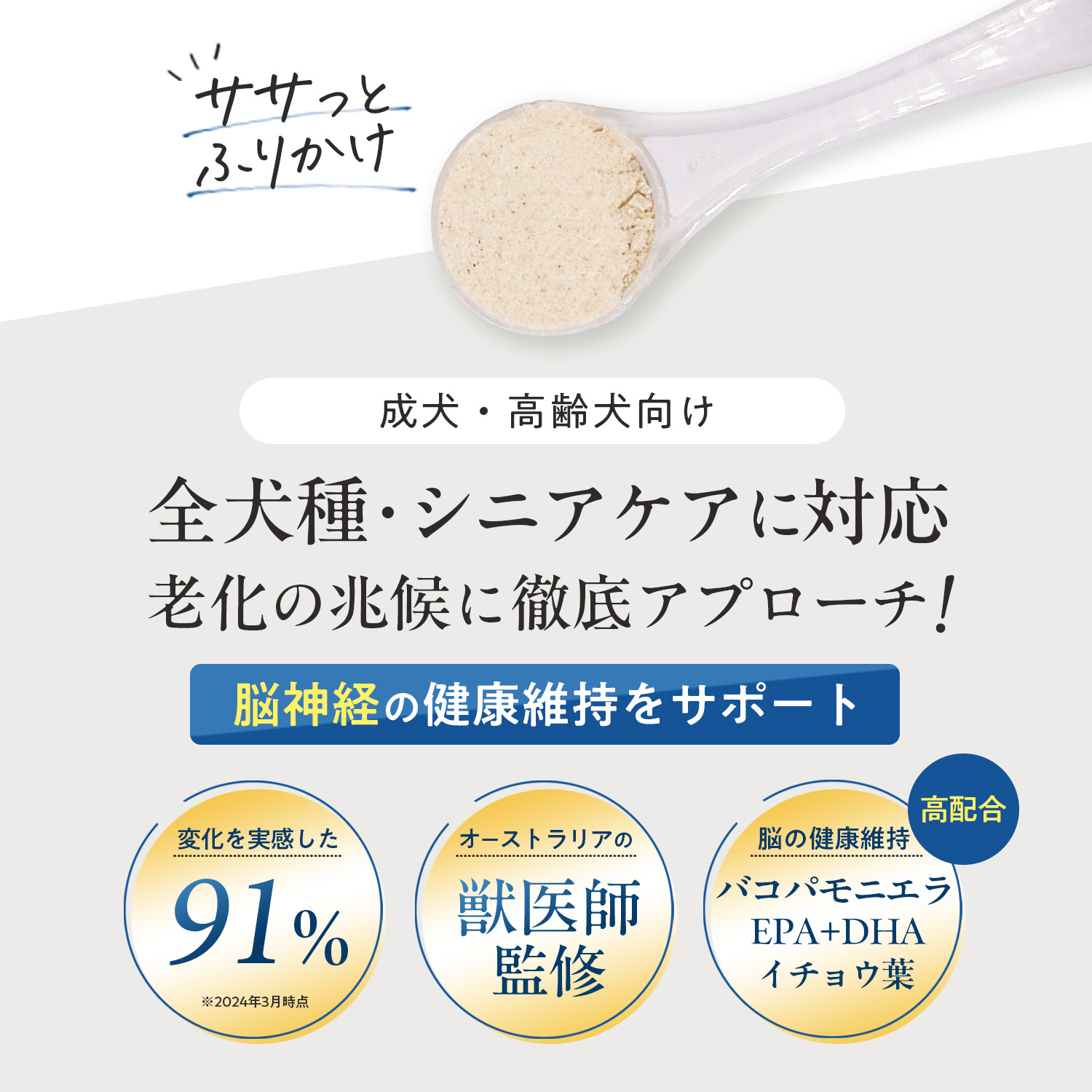 犬用ブレインサポート