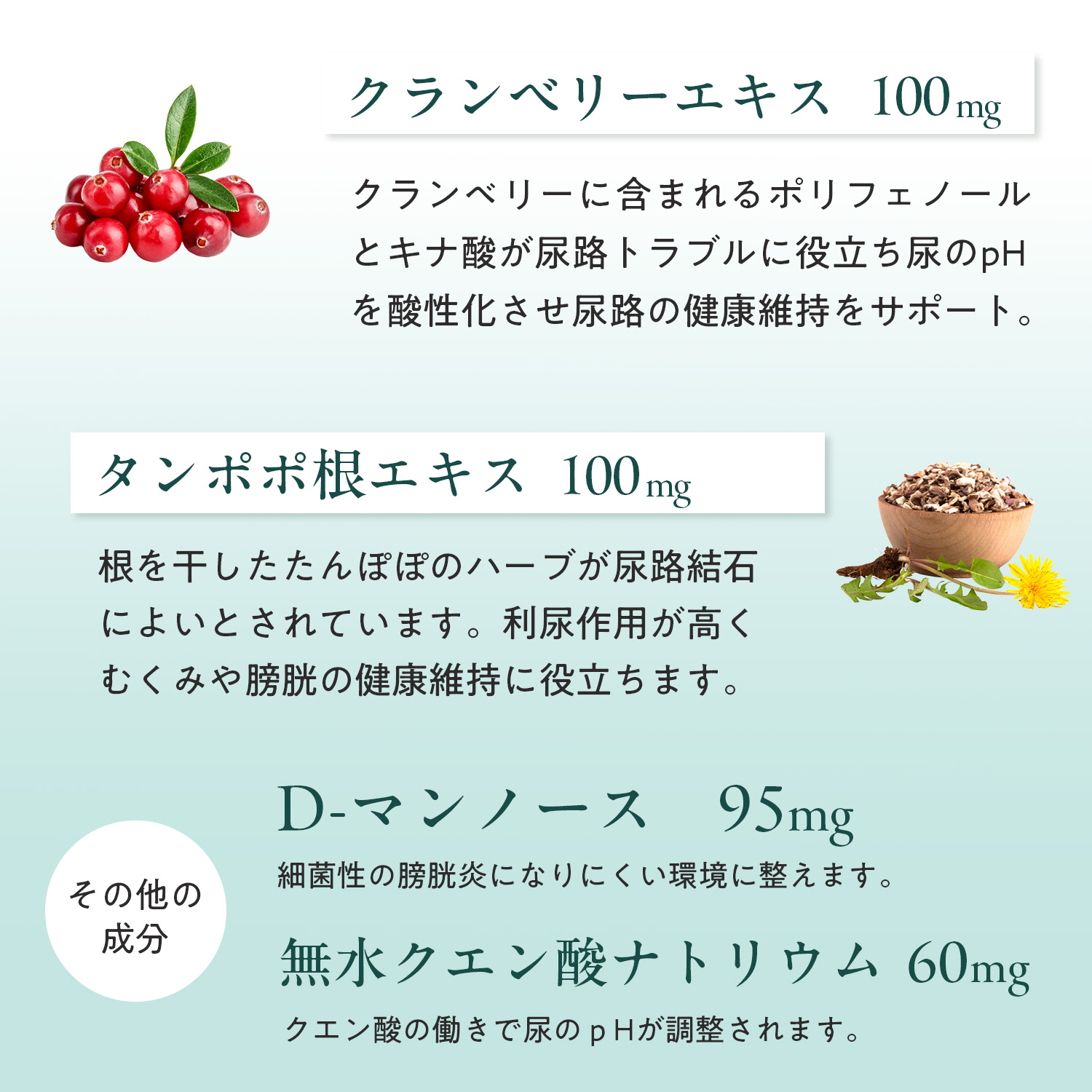 犬用ユリナリー+キドニー（腎臓＆泌尿器ケア）