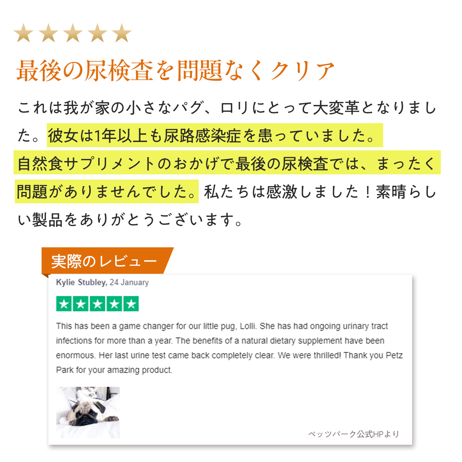犬用ユリナリー+キドニー（腎臓＆泌尿器ケア）