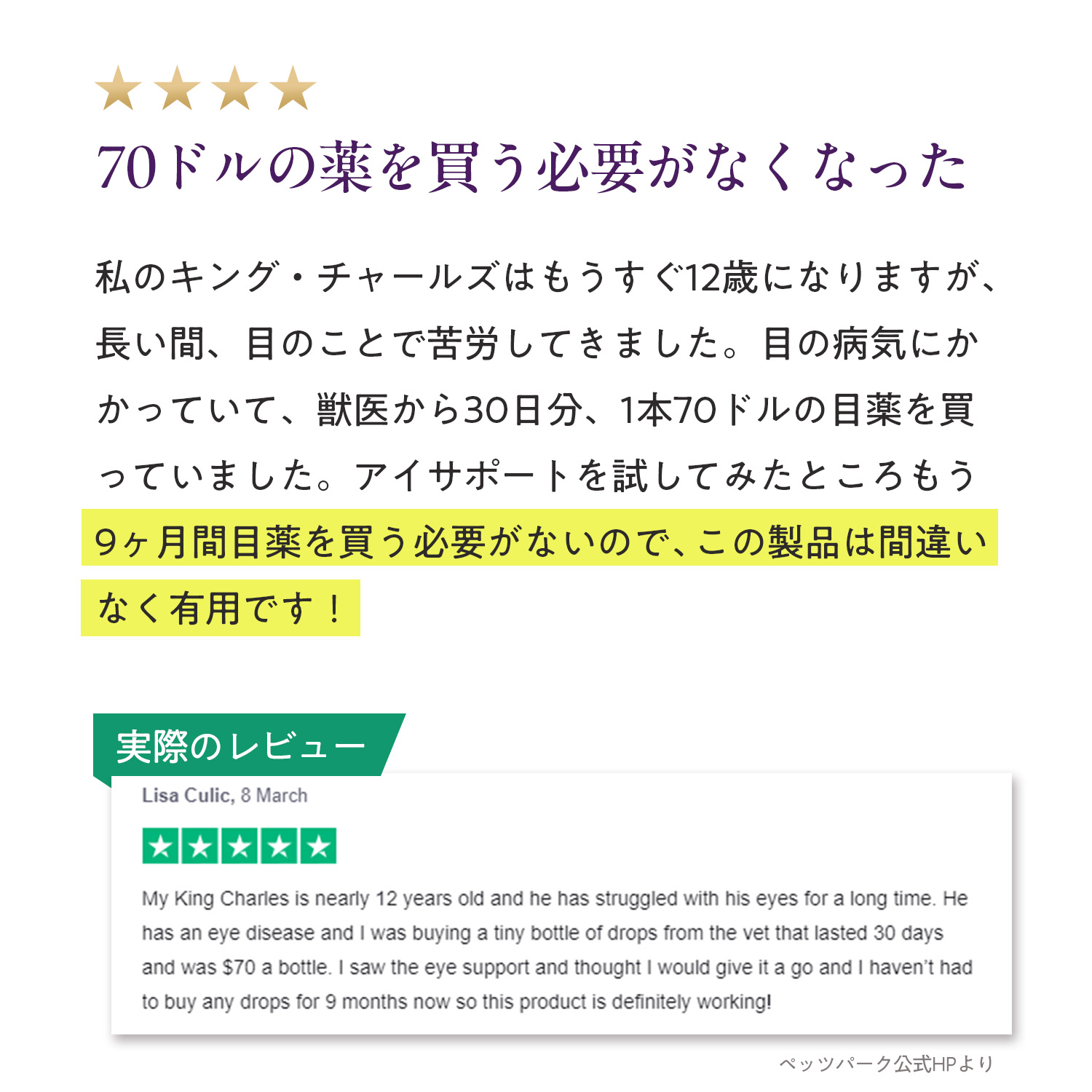 犬用アイサポート