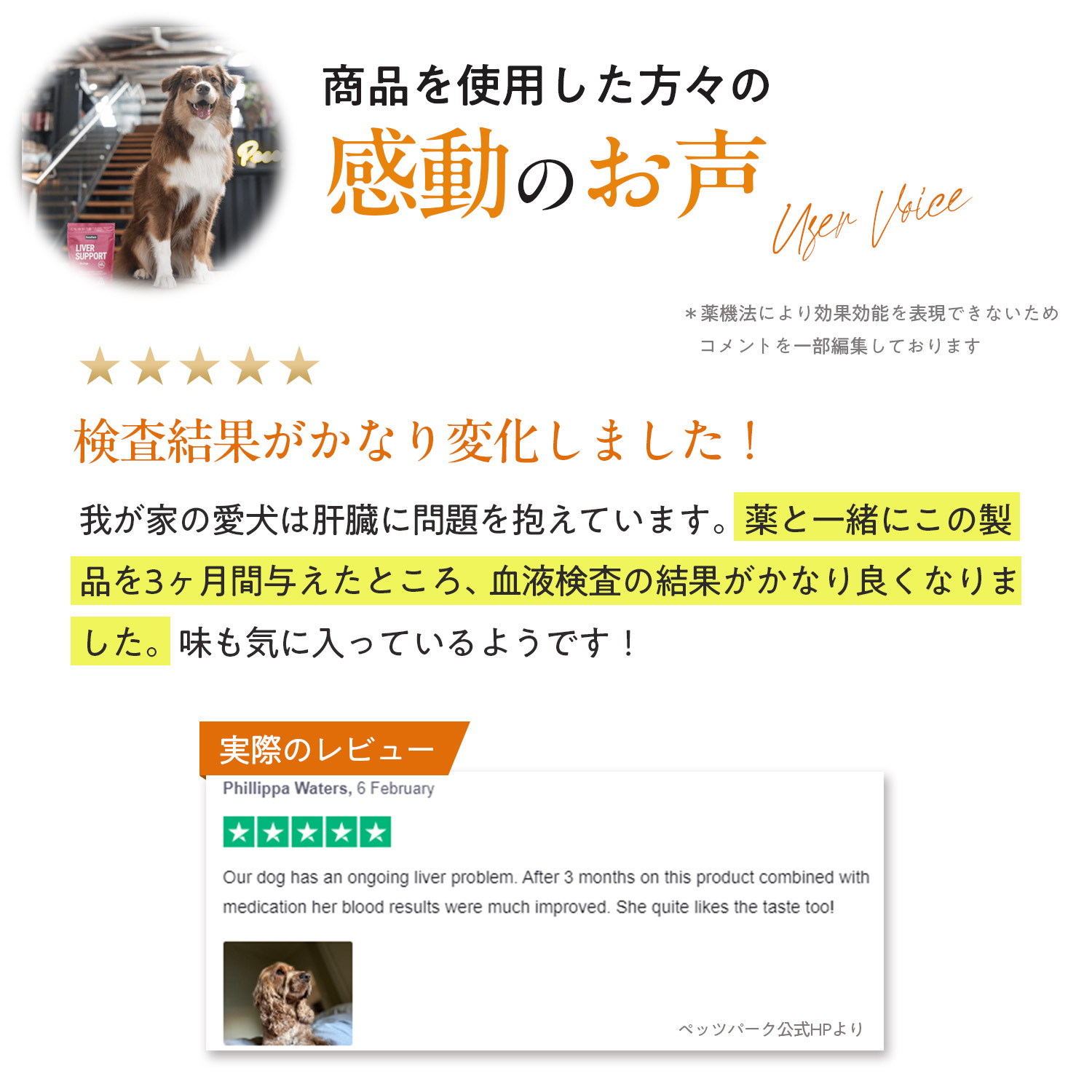 犬用リバーサポート（肝臓ケア）