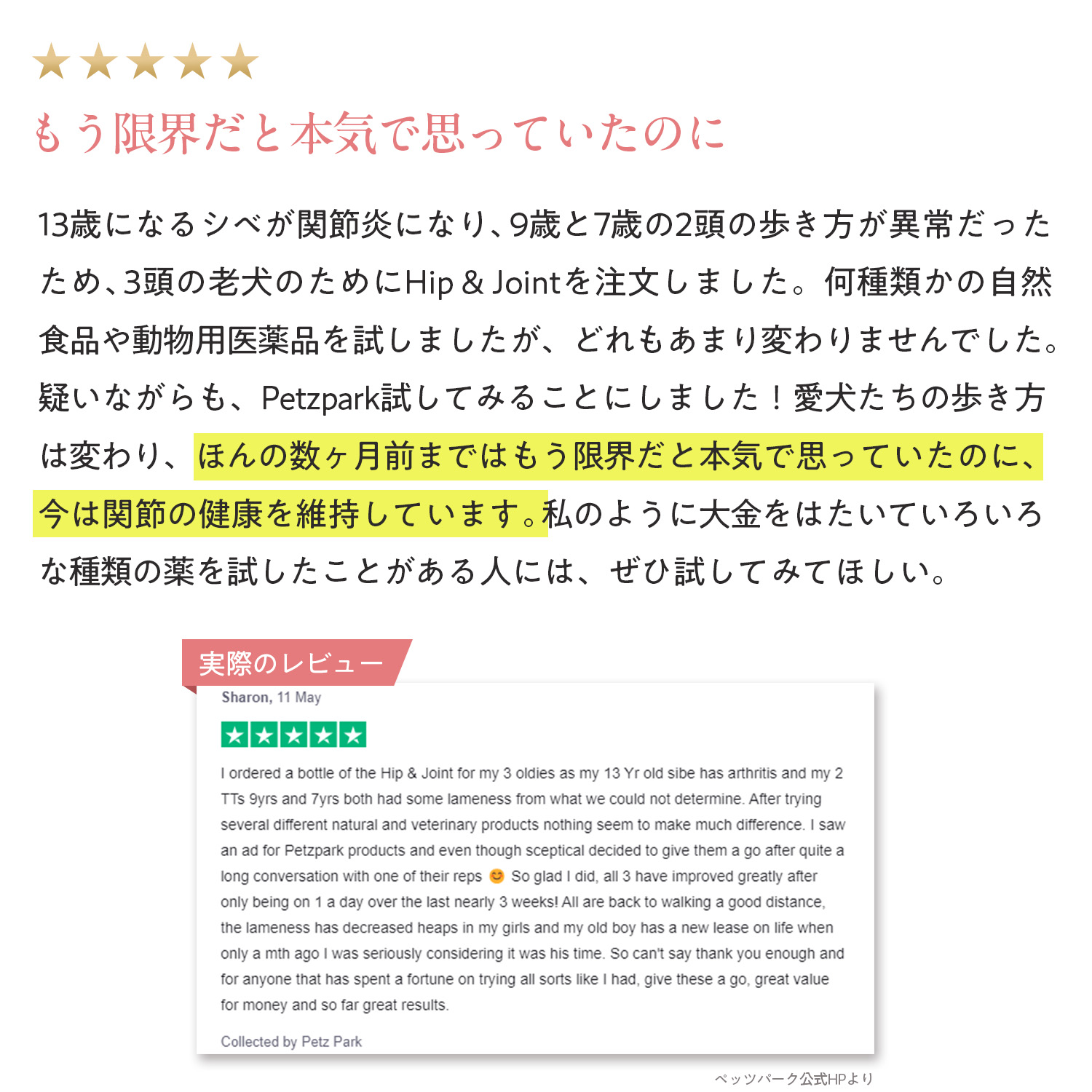 犬用ヒップ+ジョイント（関節ケア）