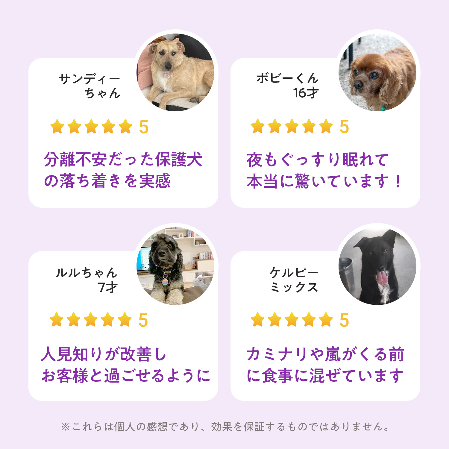 犬用ストレス+アングザイエティ