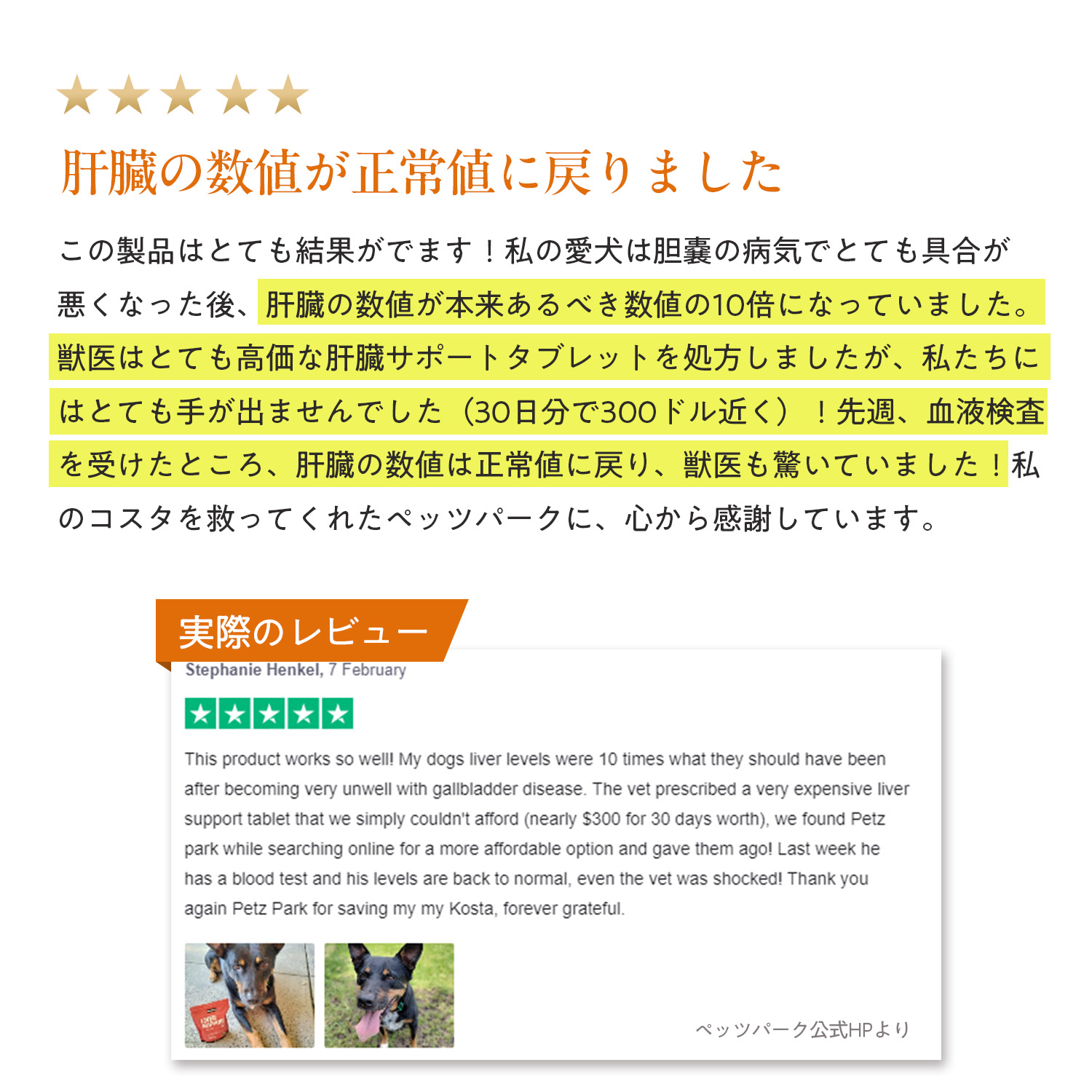 犬用リバーサポート（肝臓ケア）